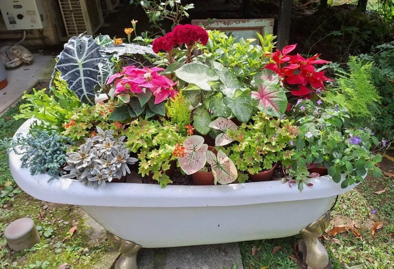 Garden view in Wen Qiao Villa