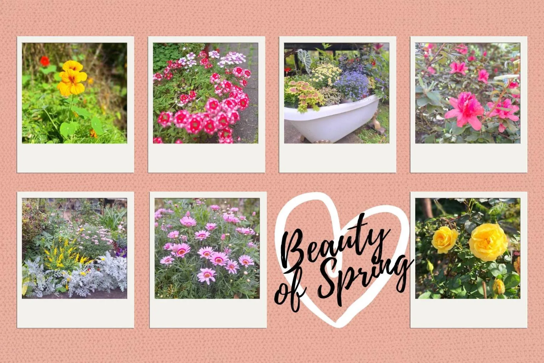Garden view in Wen Qiao Villa