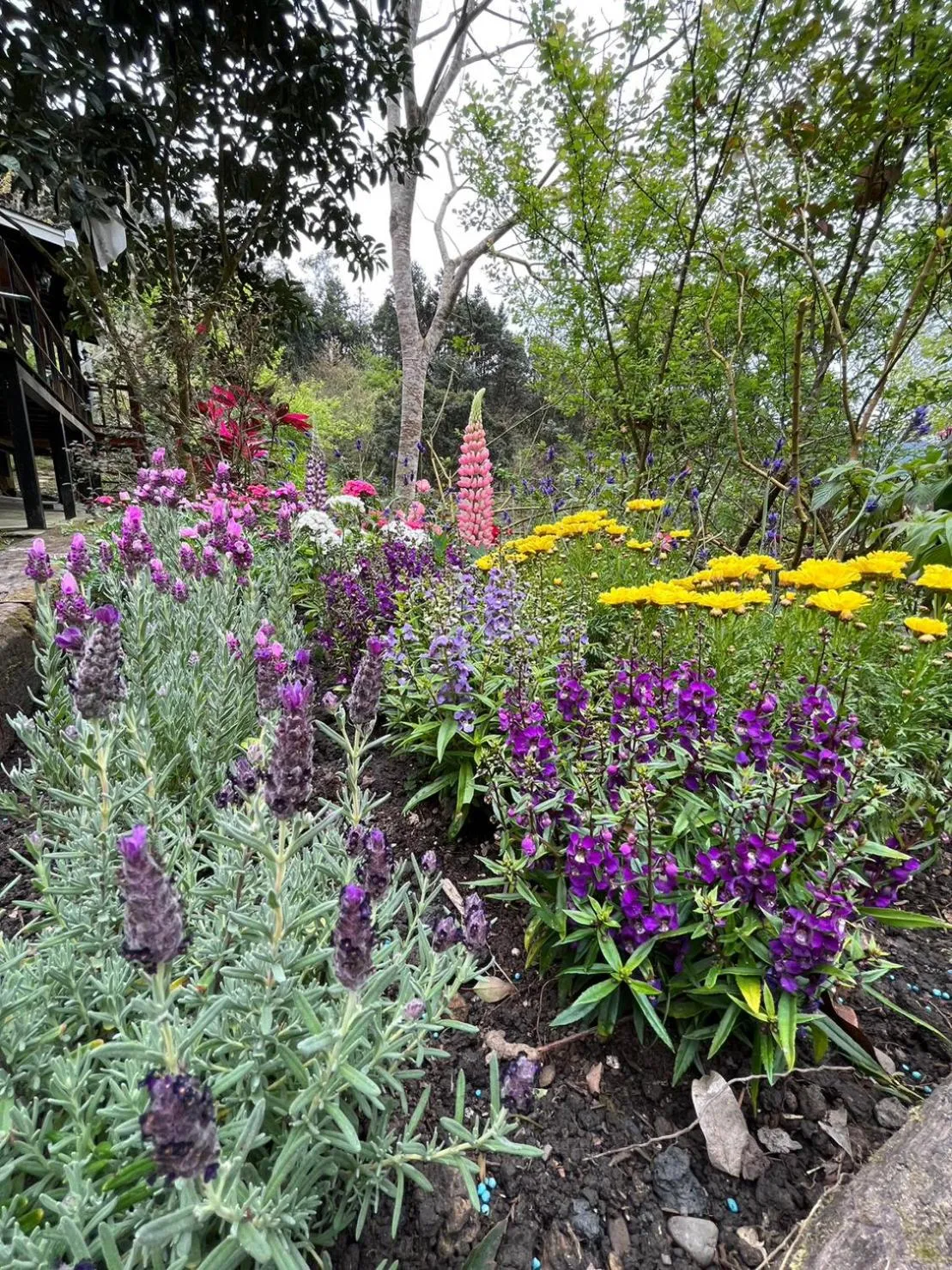 Garden in Wen Qiao Villa