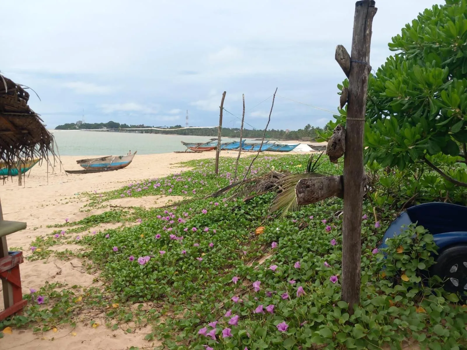 Blue Horizon Beach Hotel