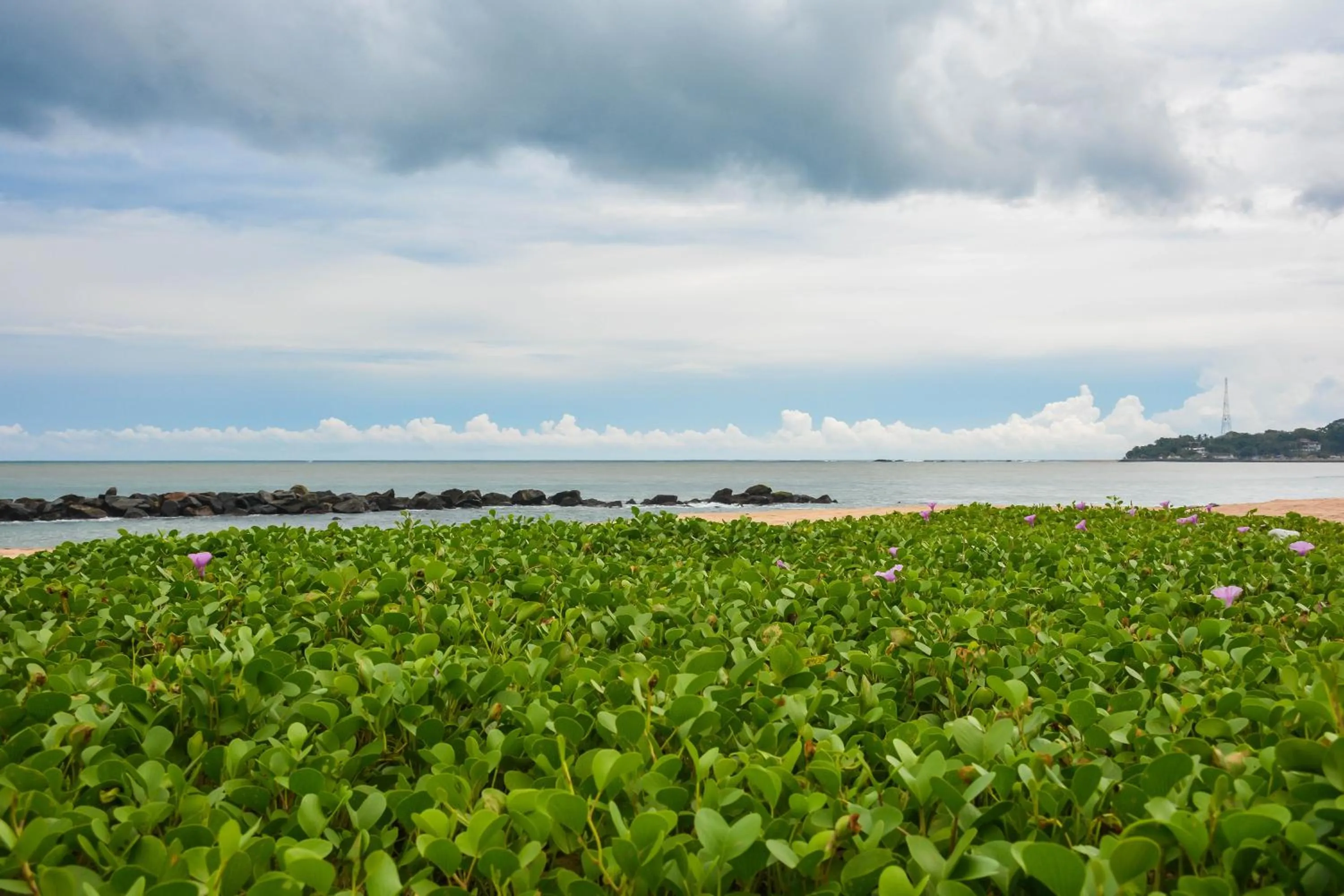 Blue Horizon Beach Hotel