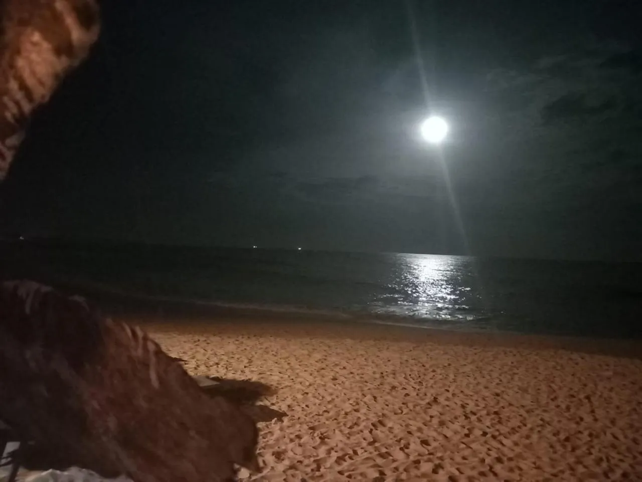 Blue Horizon Beach Hotel