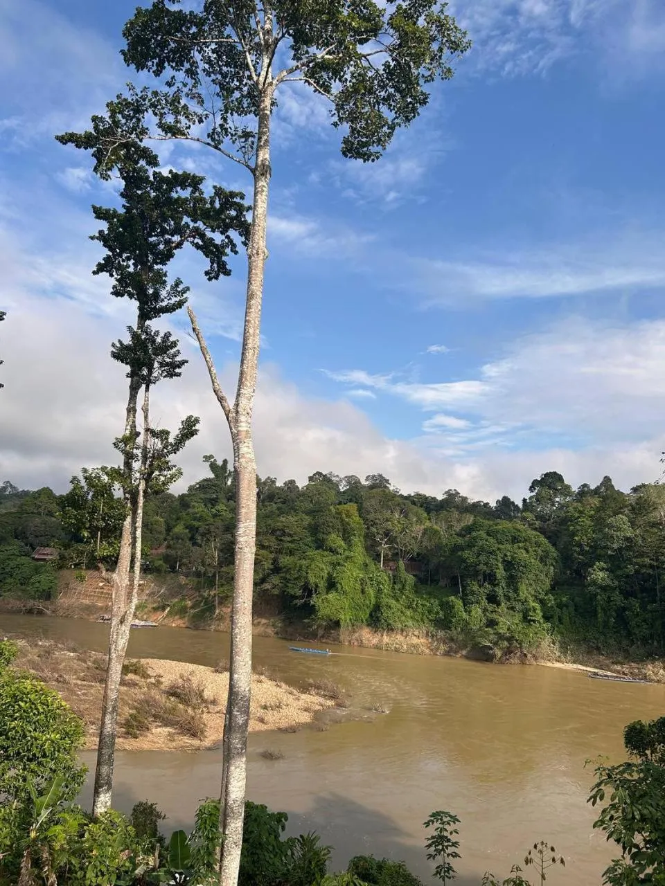 Taman Negara River View Lodge