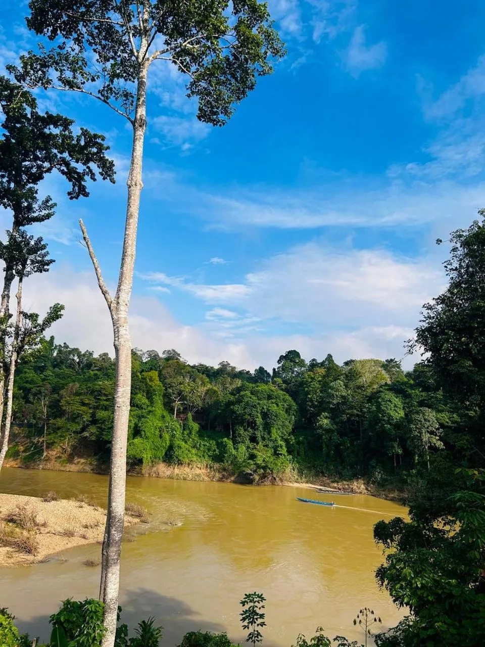 Taman Negara River View Lodge