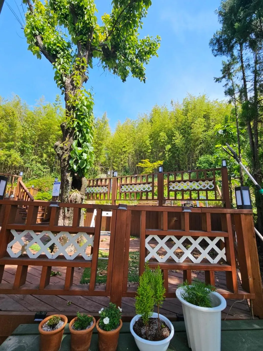 Bellus-Rose Pension Gyeongju