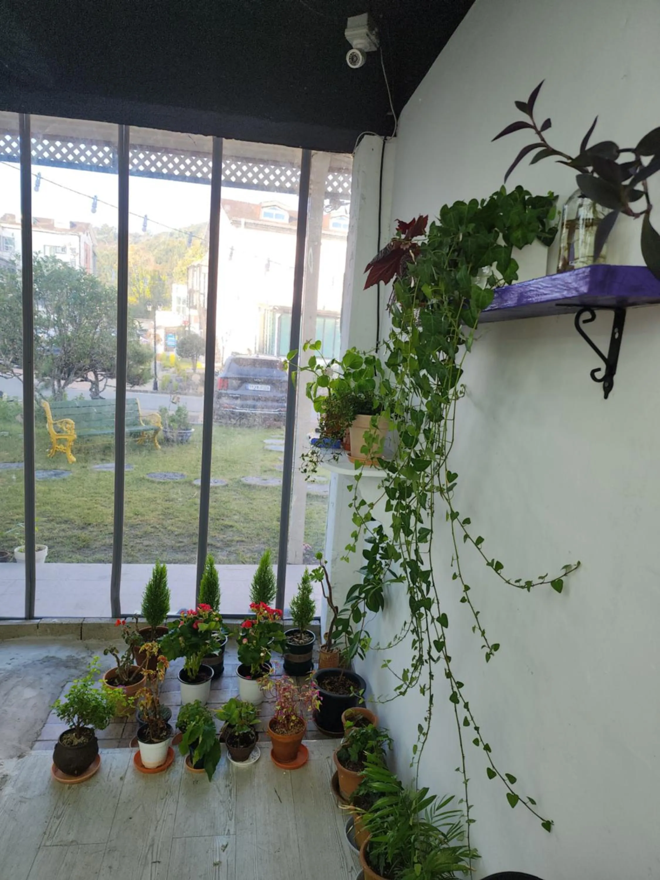 Bellus-Rose Pension Gyeongju