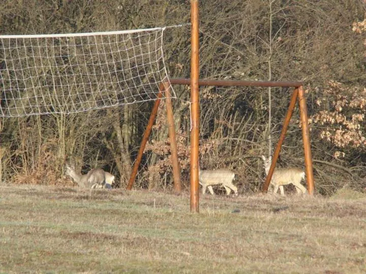 Complex Pristan in the mountain