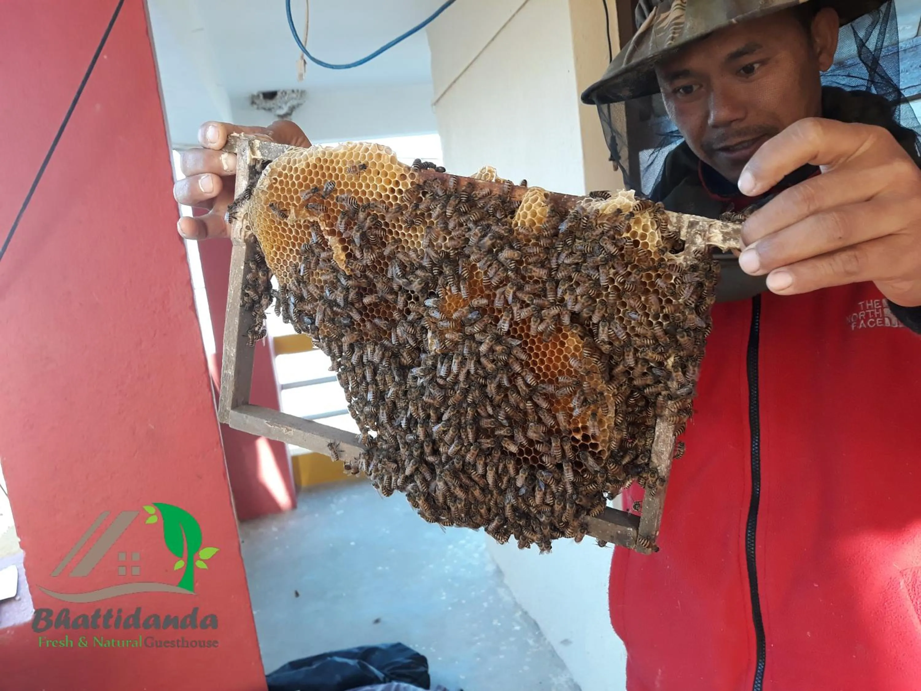 Bhattidanda Fresh & Natural Homestay