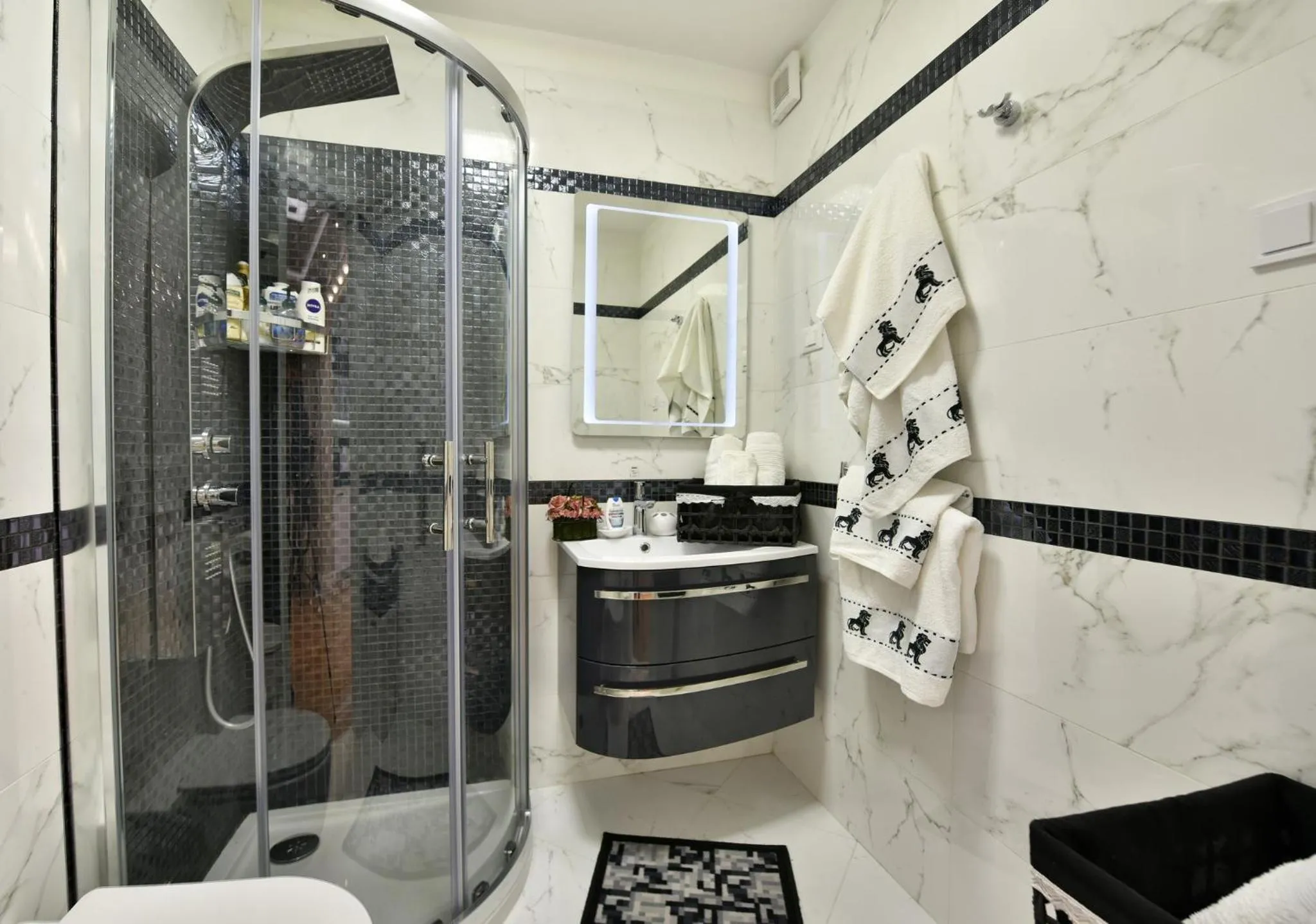 Shower in Apartment Markovski
