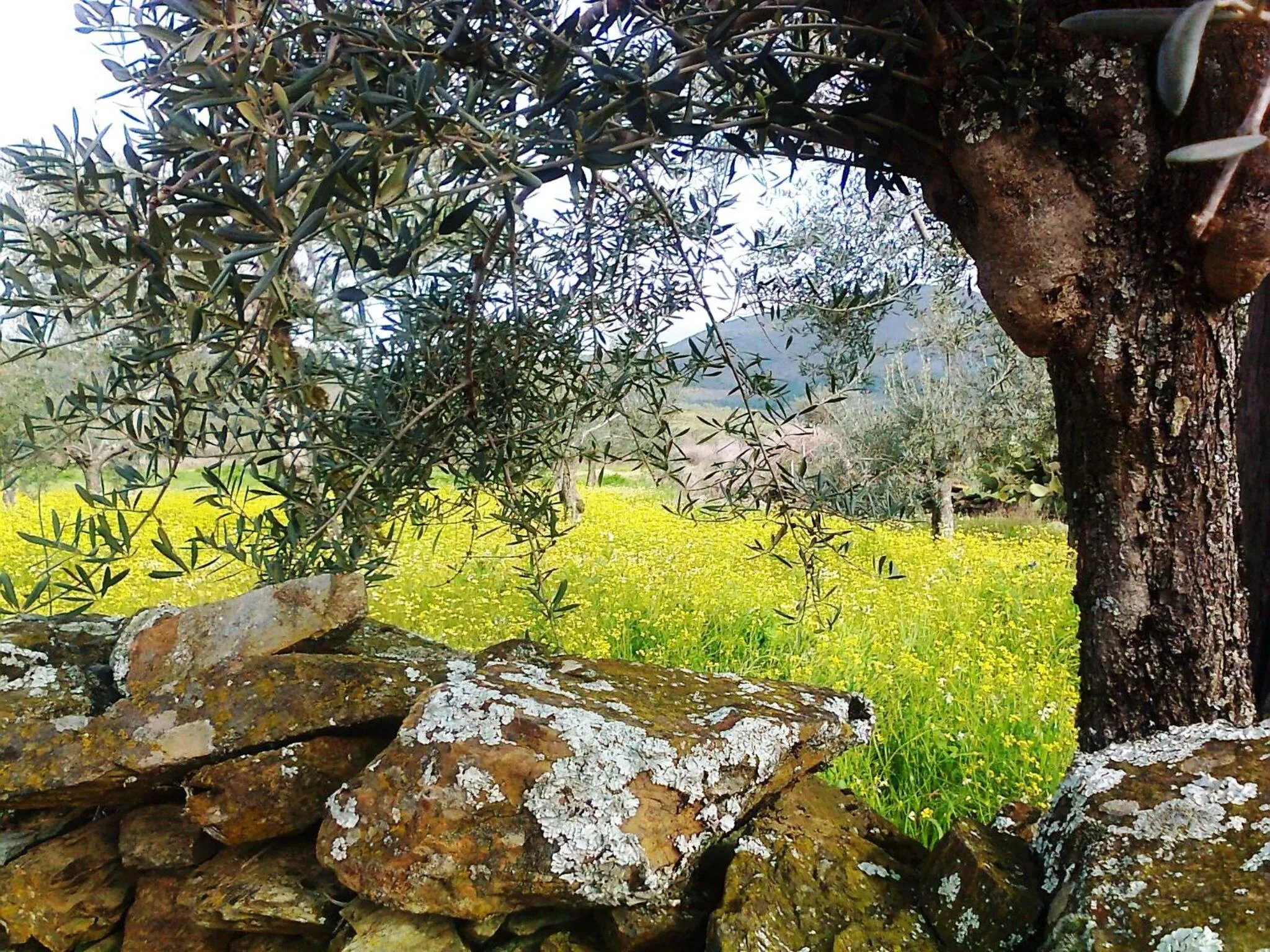 Hiking in La Posada del Casar