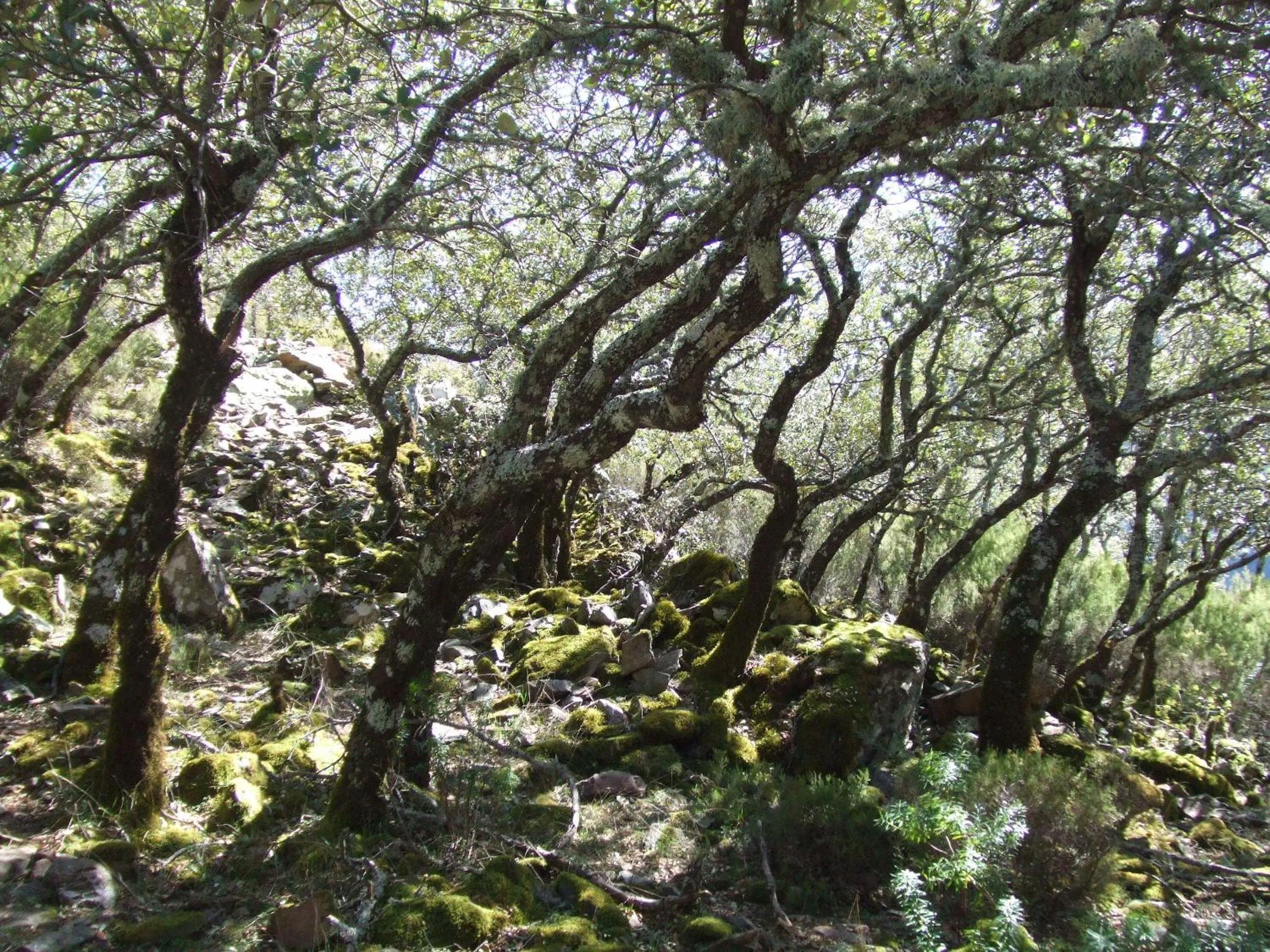 Hiking in La Posada del Casar