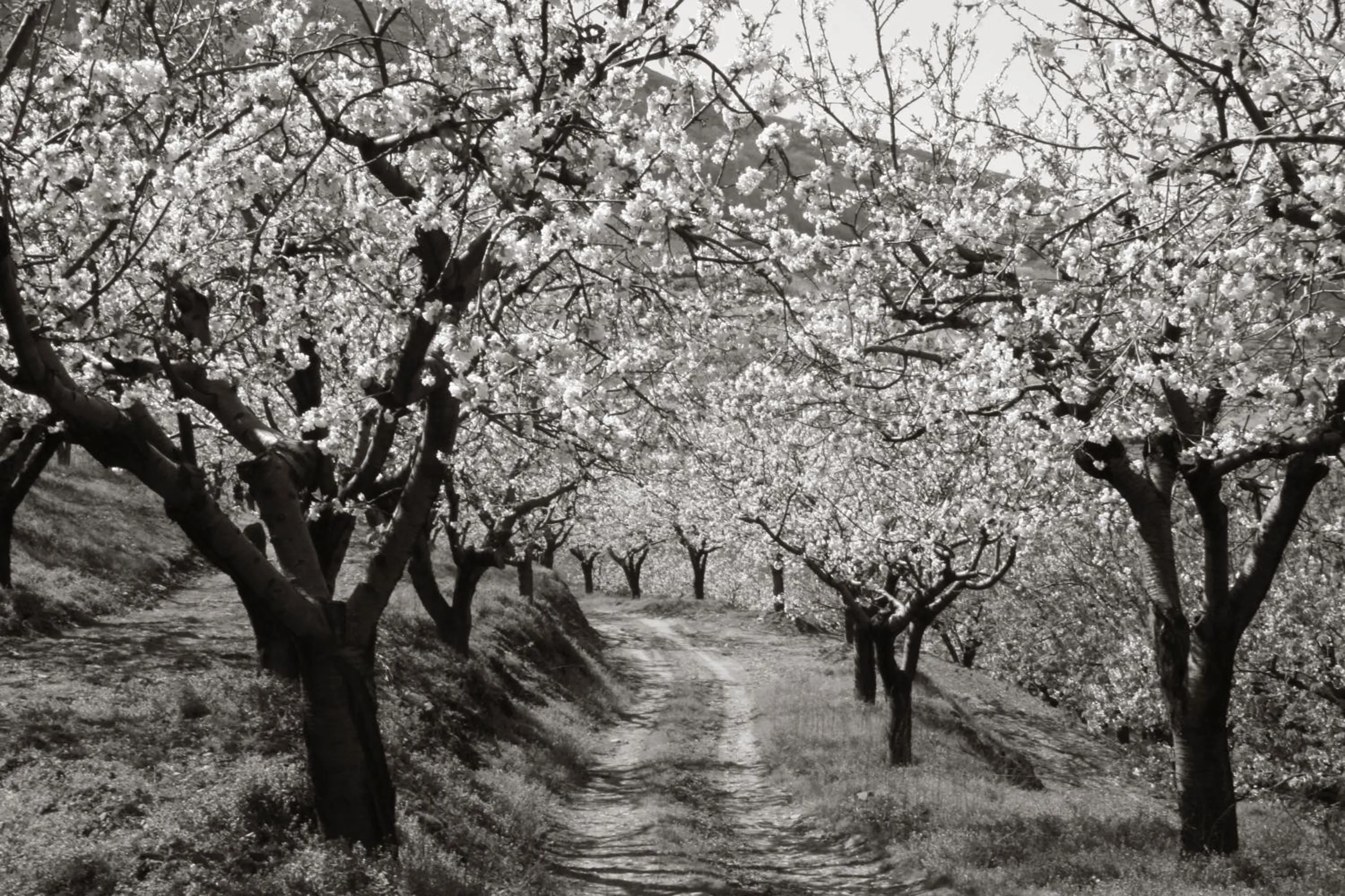 Hiking in La Posada del Casar