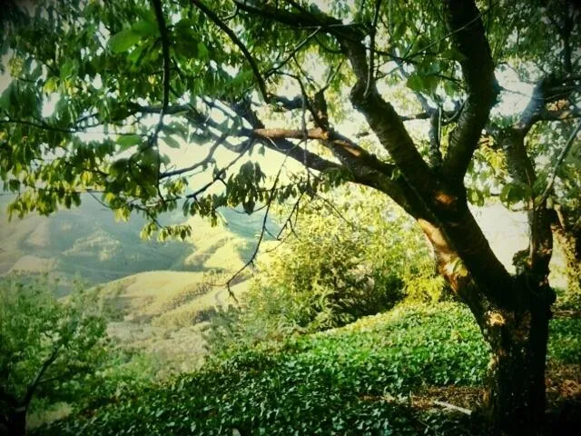 Hiking in La Posada del Casar