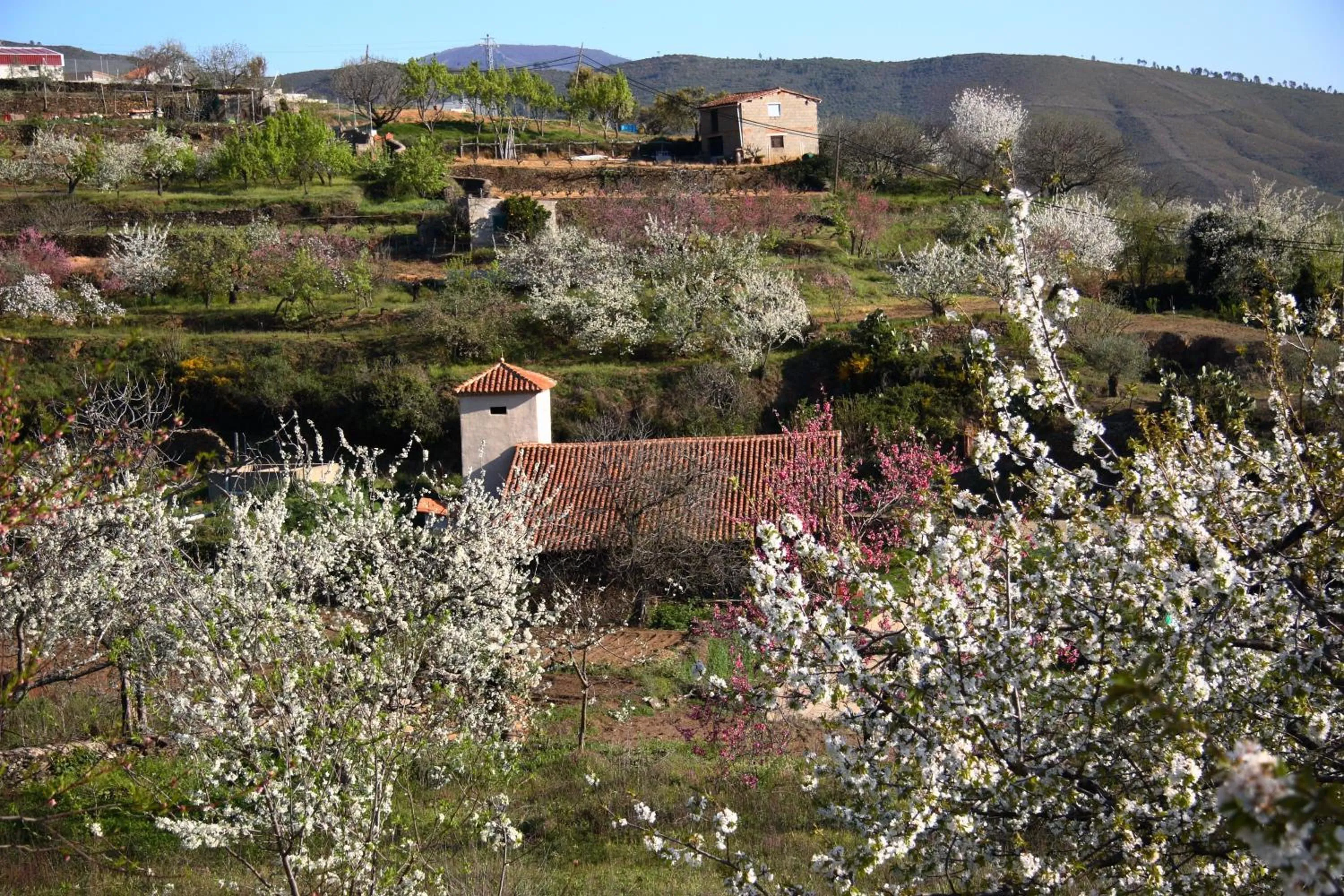 Area and facilities in La Posada del Casar