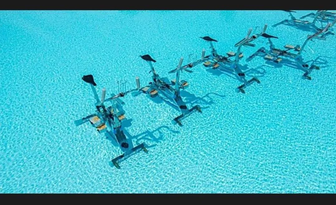 MOBIL HOME 43 dans Camping 4 Etoiles