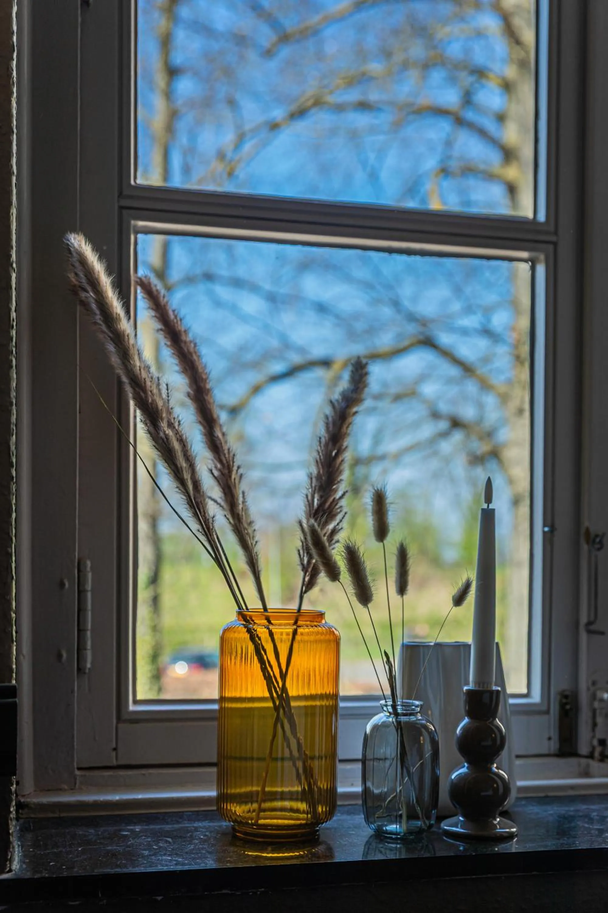 Day in Buitenplaats Kasteel Elsloo