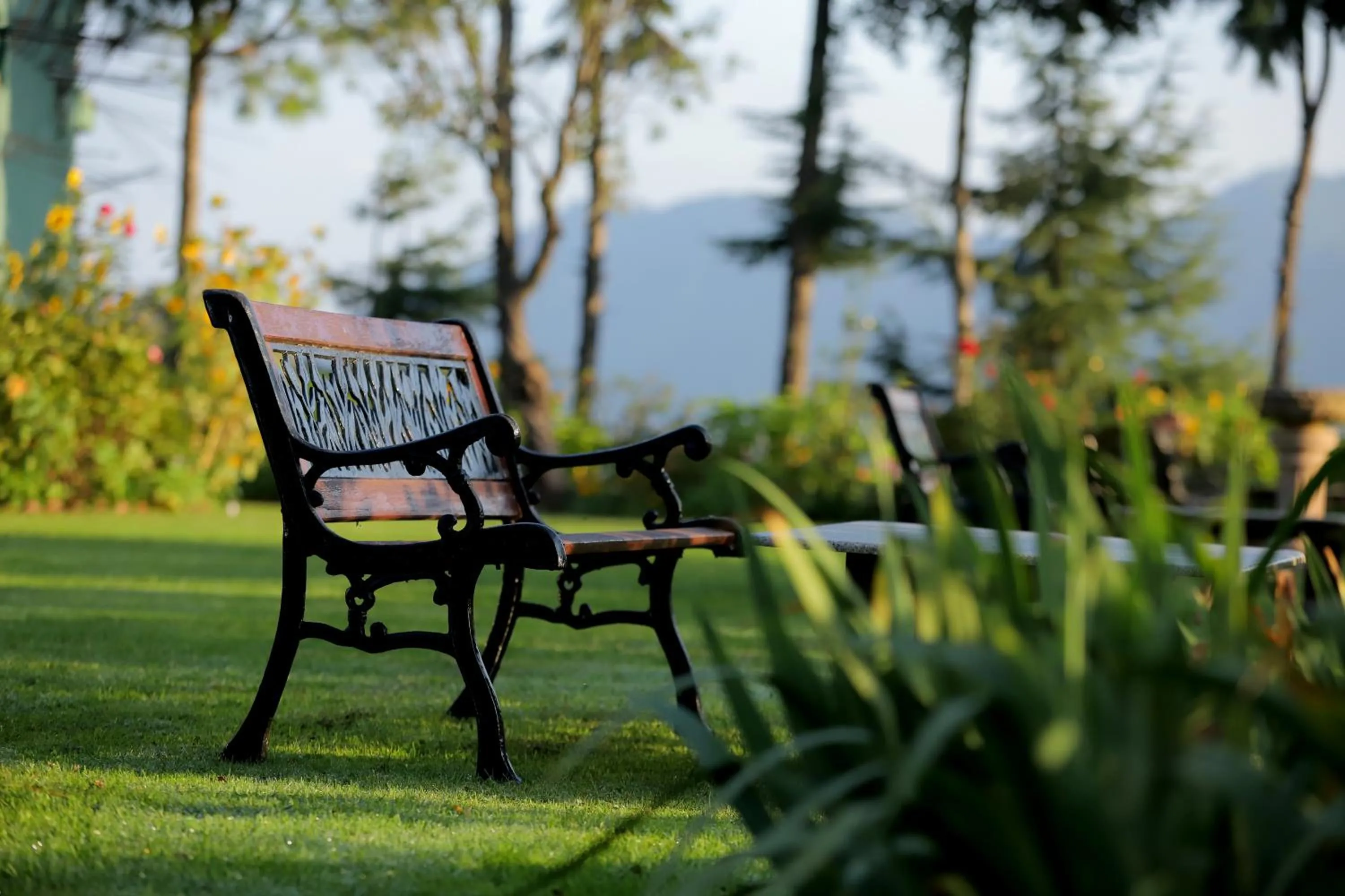 Garden view in Cedar Lodge By Aahma