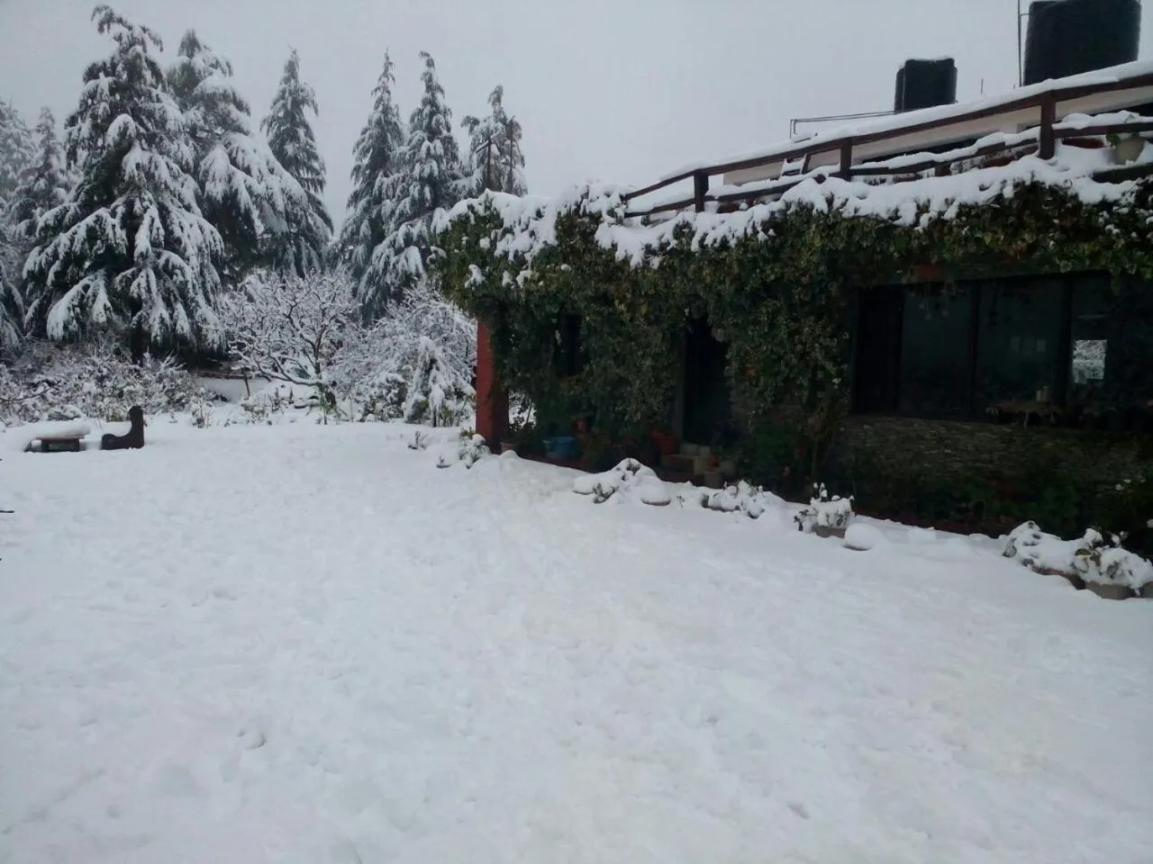 Property building in Cedar Lodge By Aahma