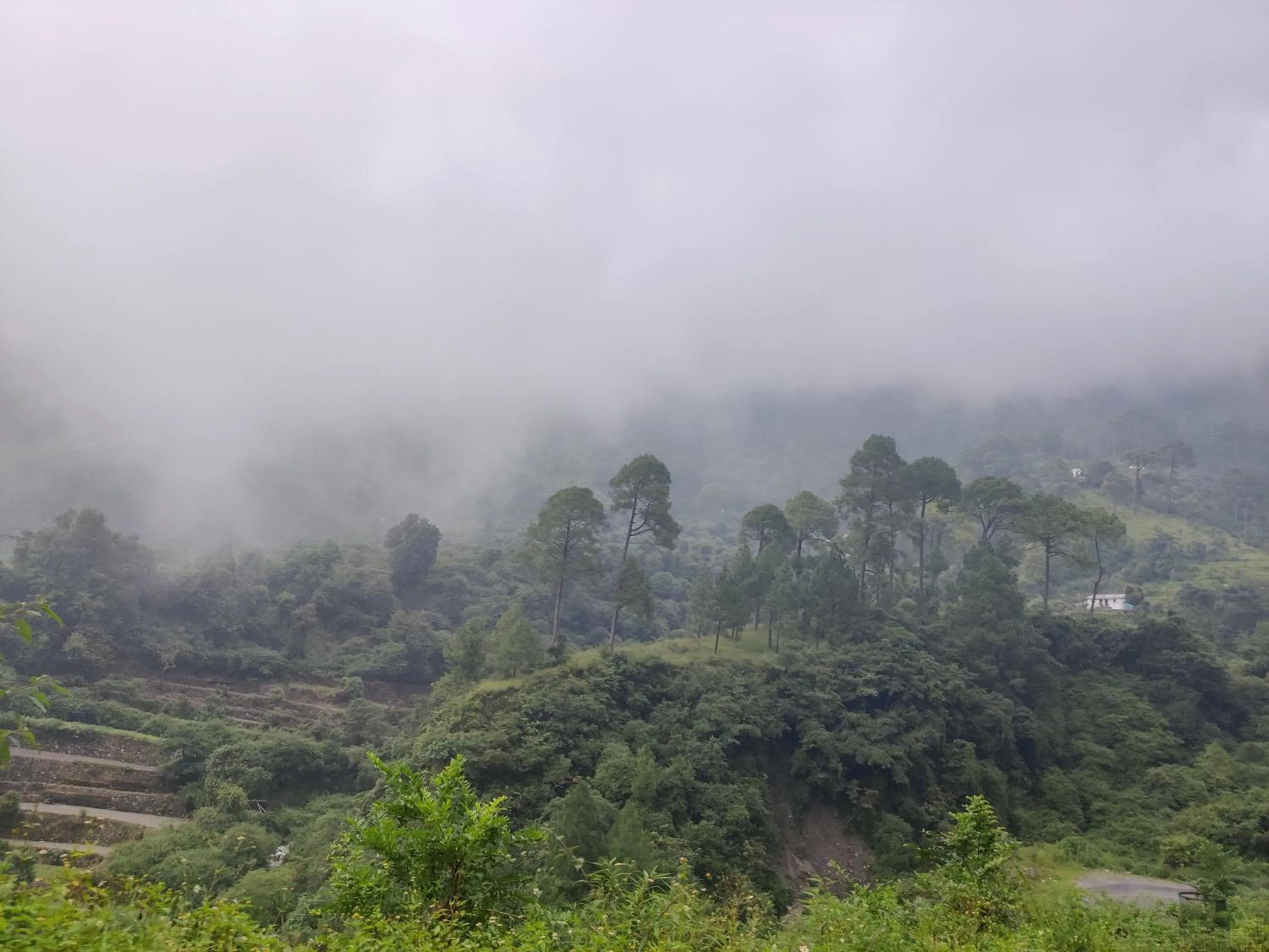 Mountain view in Cedar Lodge By Aahma