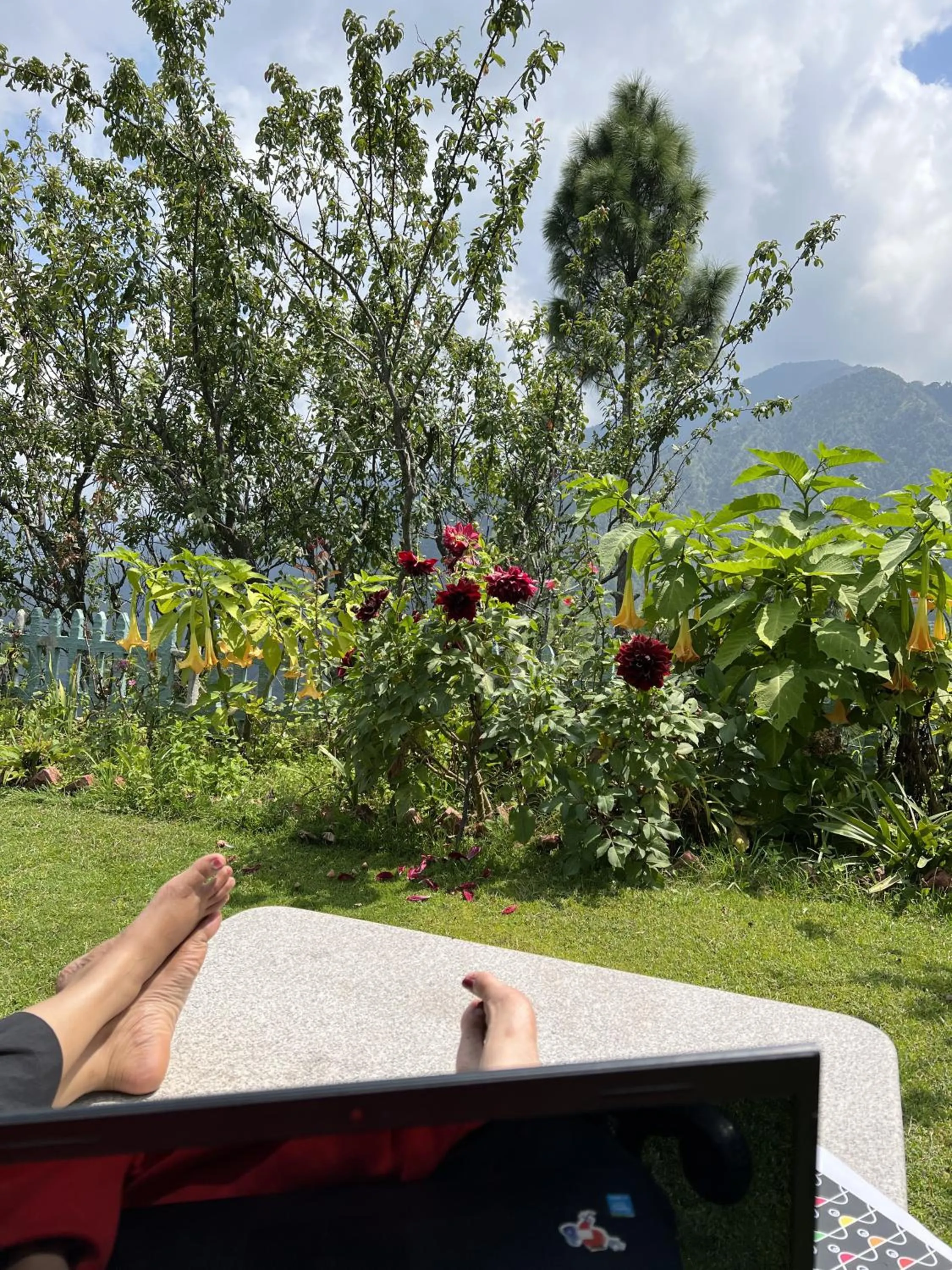 Mountain view in Cedar Lodge By Aahma