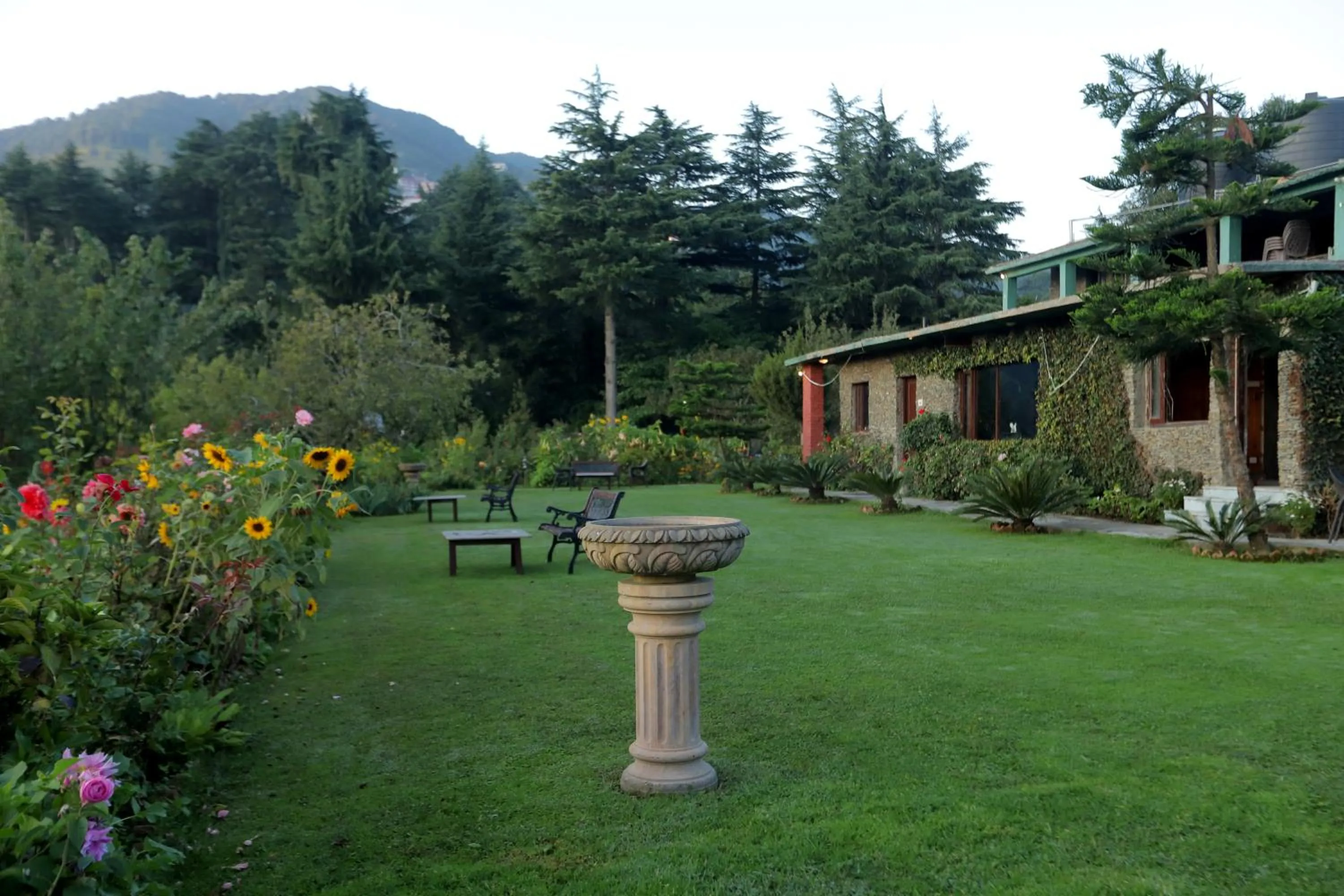 Natural landscape in Cedar Lodge By Aahma