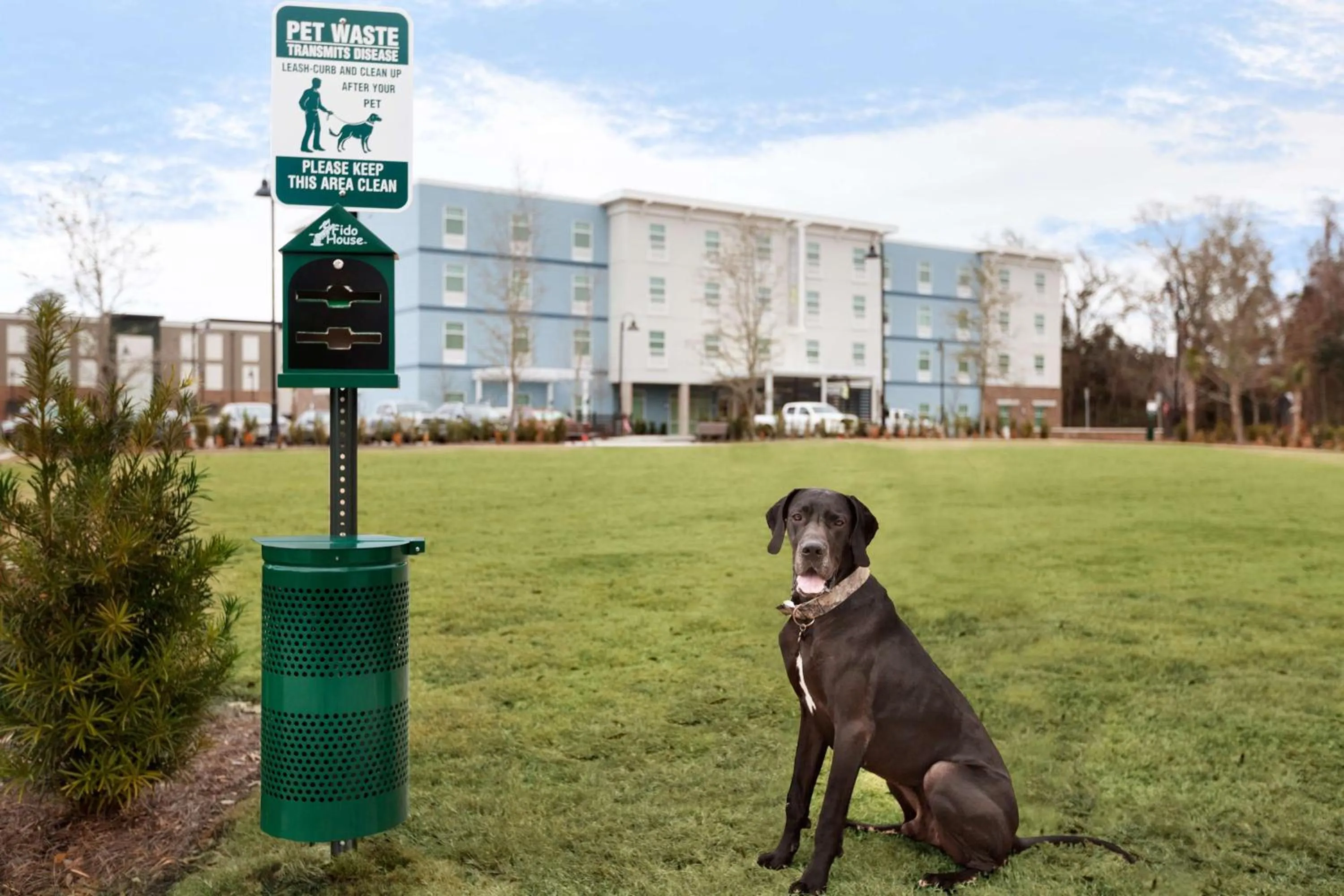 Garden in Home2 Suites By Hilton Mt Pleasant Charleston