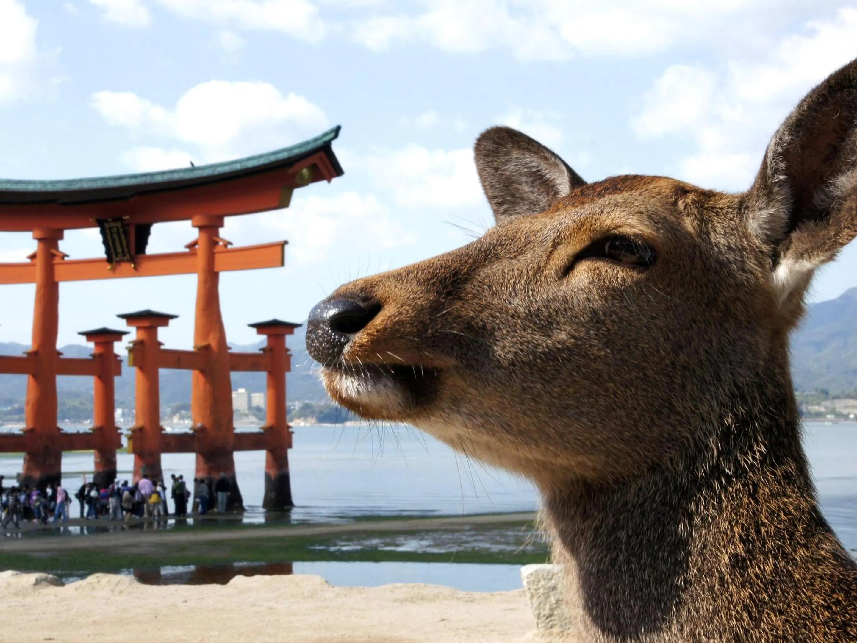 Nearby landmark in Global Resort Miyajima View