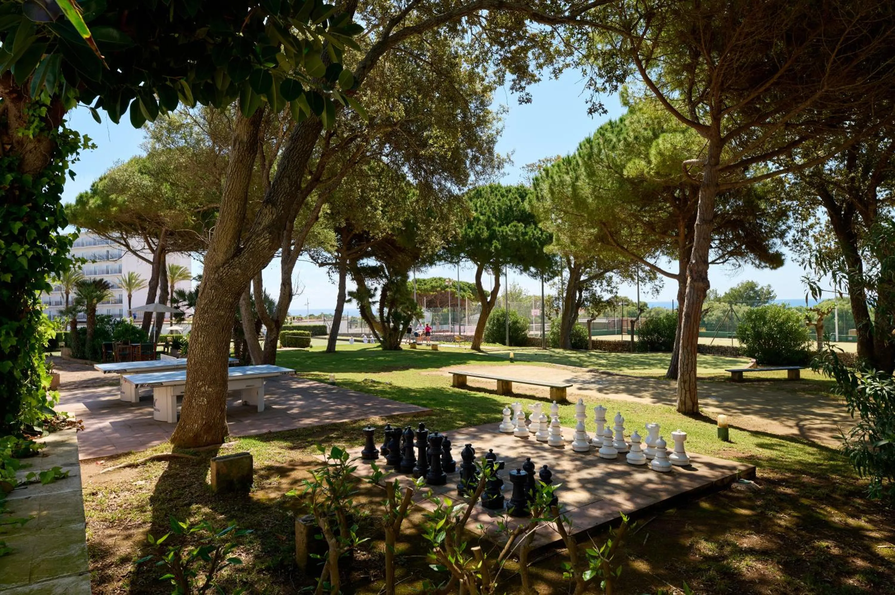 Sports in AluaSun Far Menorca