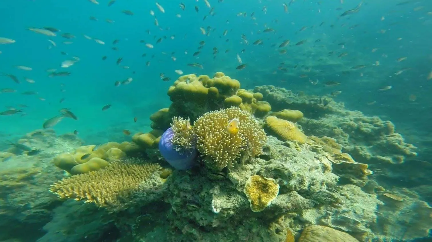 Property building in Fisherman's Hut , ขนำชาวเลโฮมสเตย์