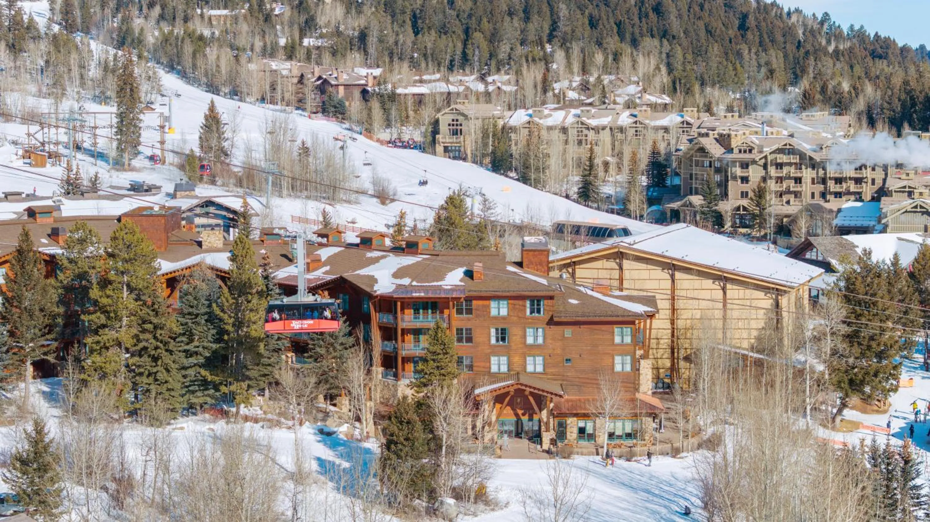 View (from property/room) in Teton Club