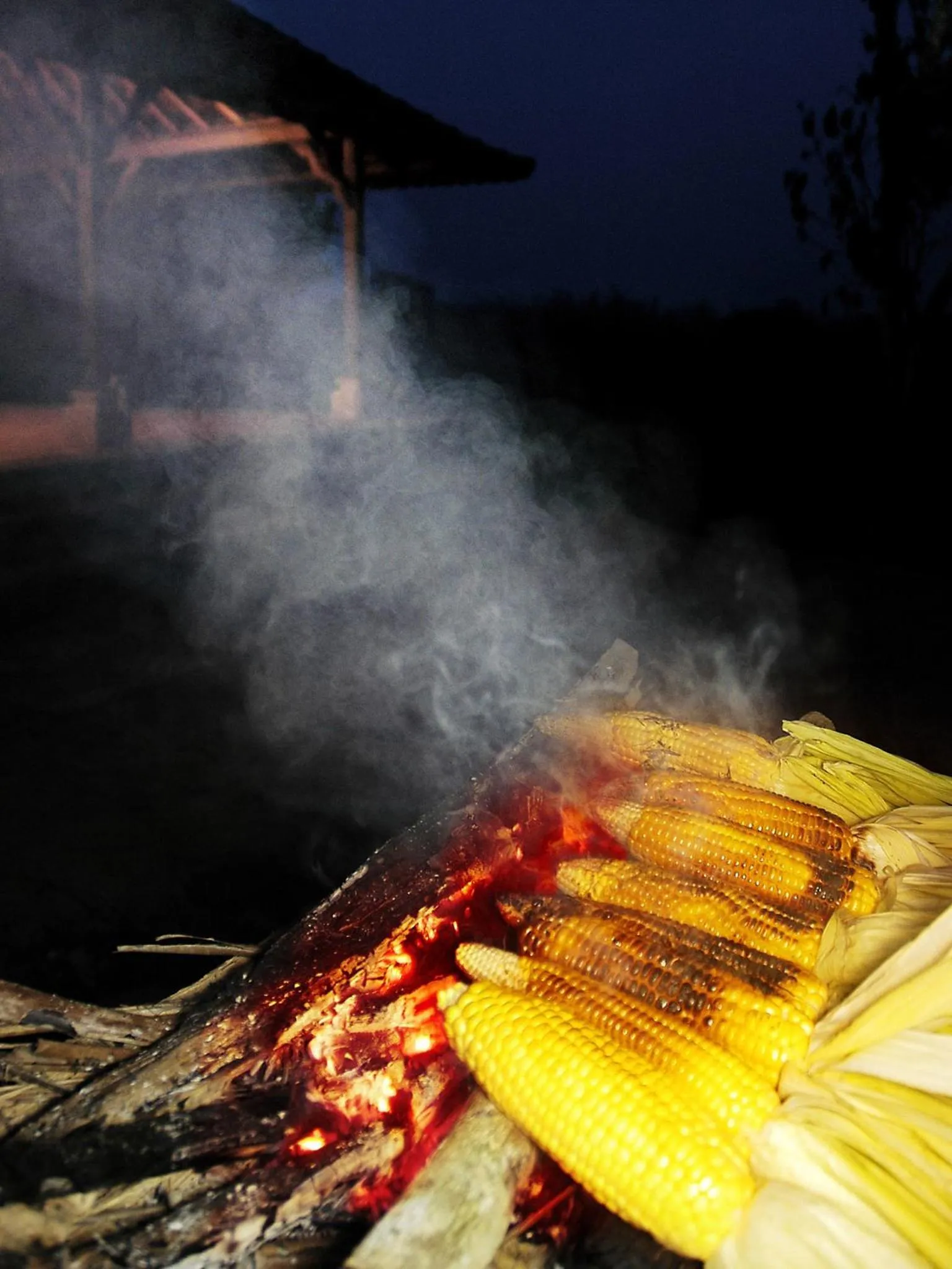 Natural landscape in Bagus Agro Pelaga