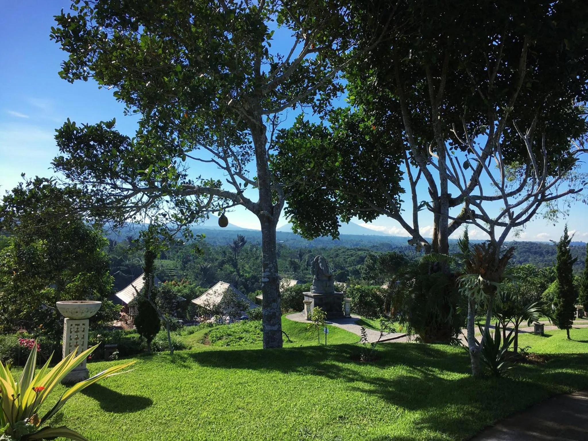 Natural landscape in Bagus Agro Pelaga