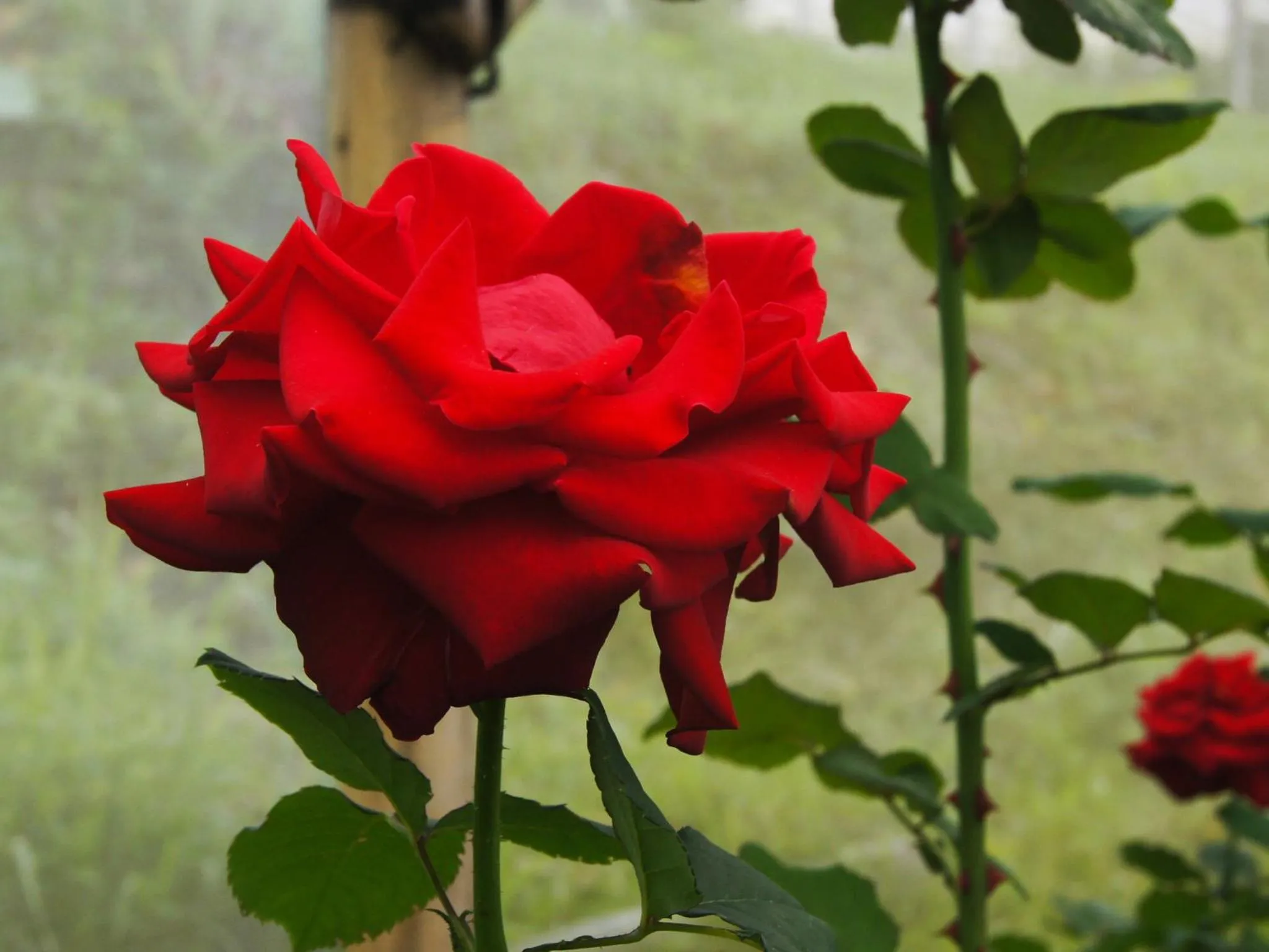 Natural landscape in Bagus Agro Pelaga