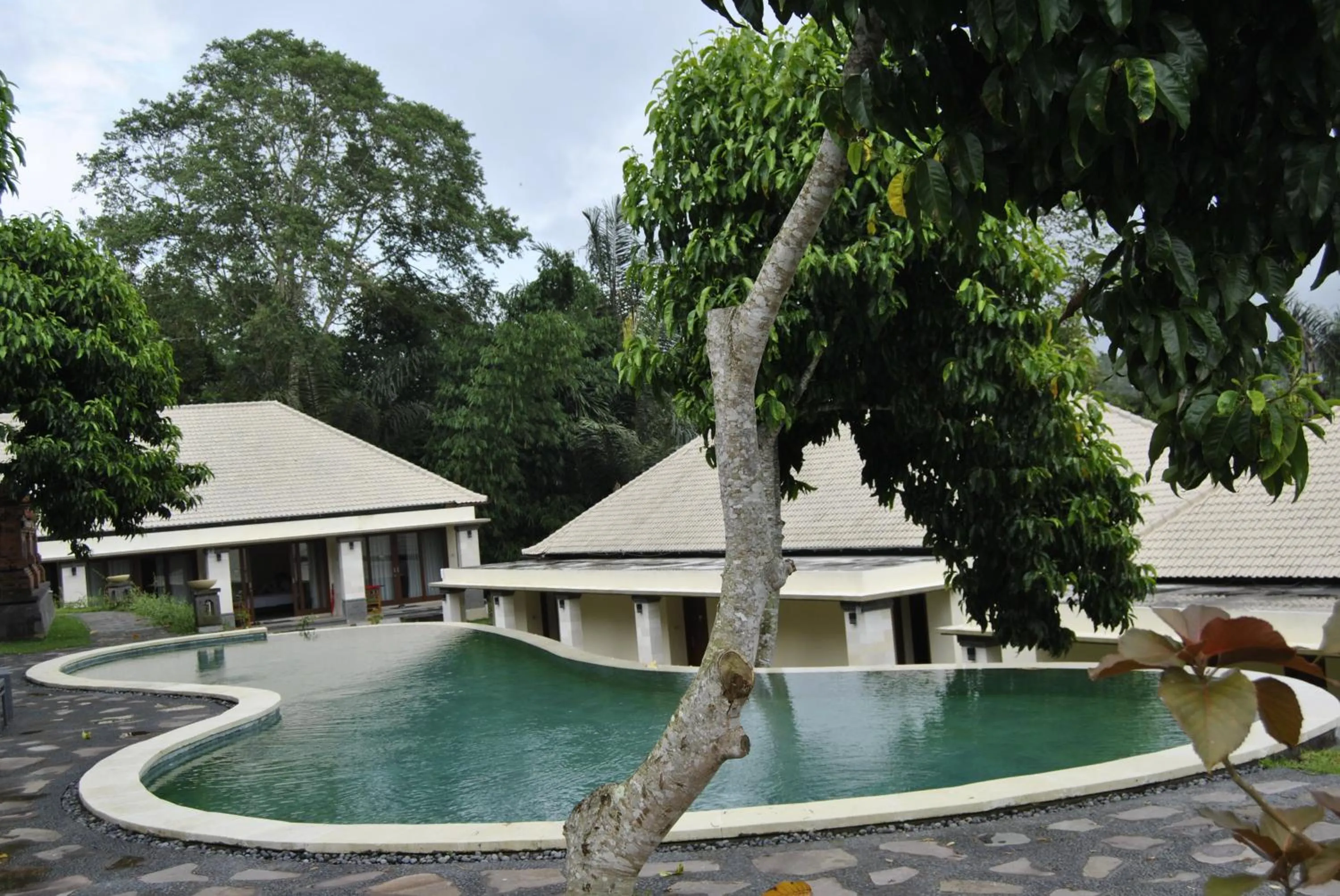 Swimming pool in Bagus Agro Pelaga