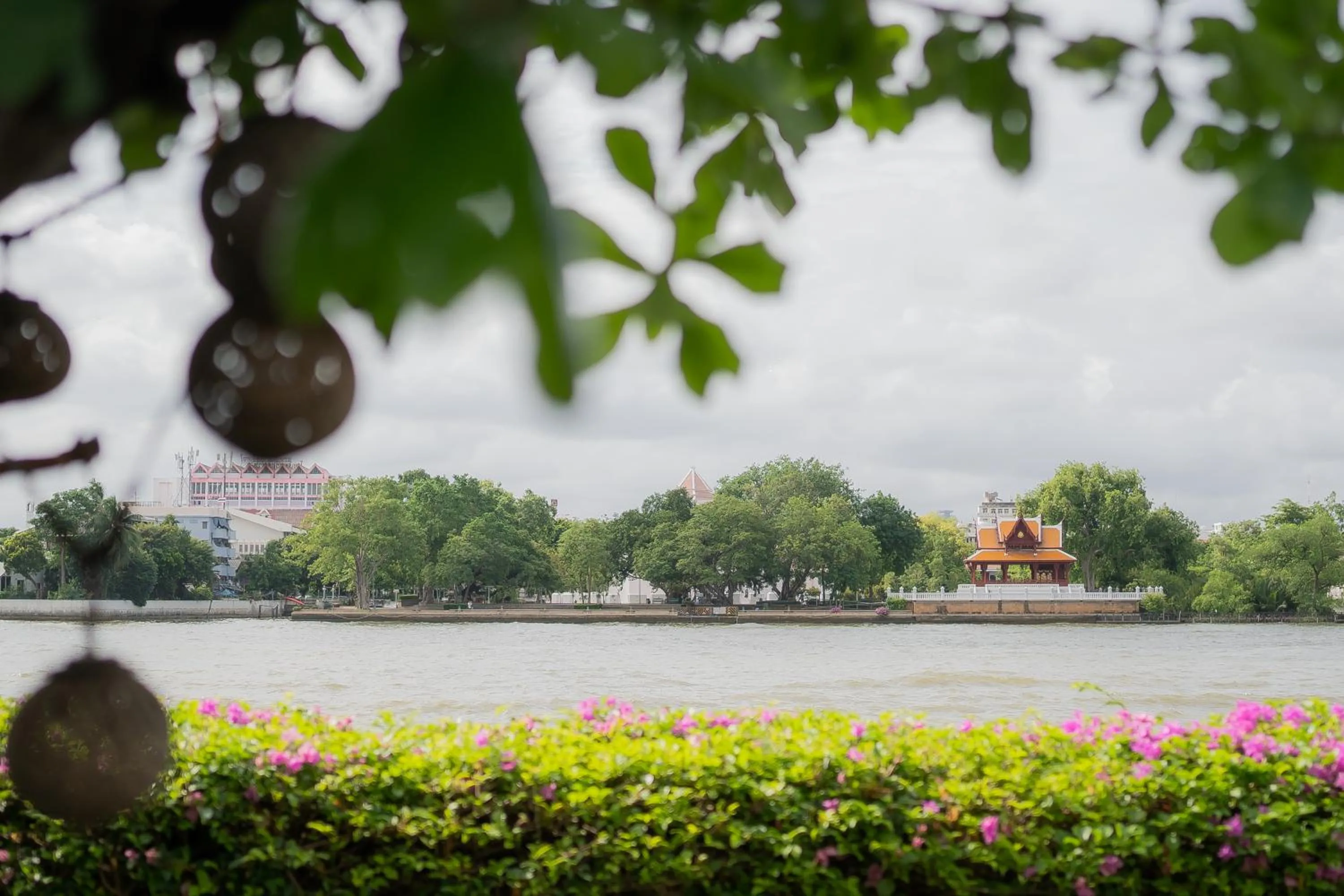 Neighbourhood in Praya Palazzo