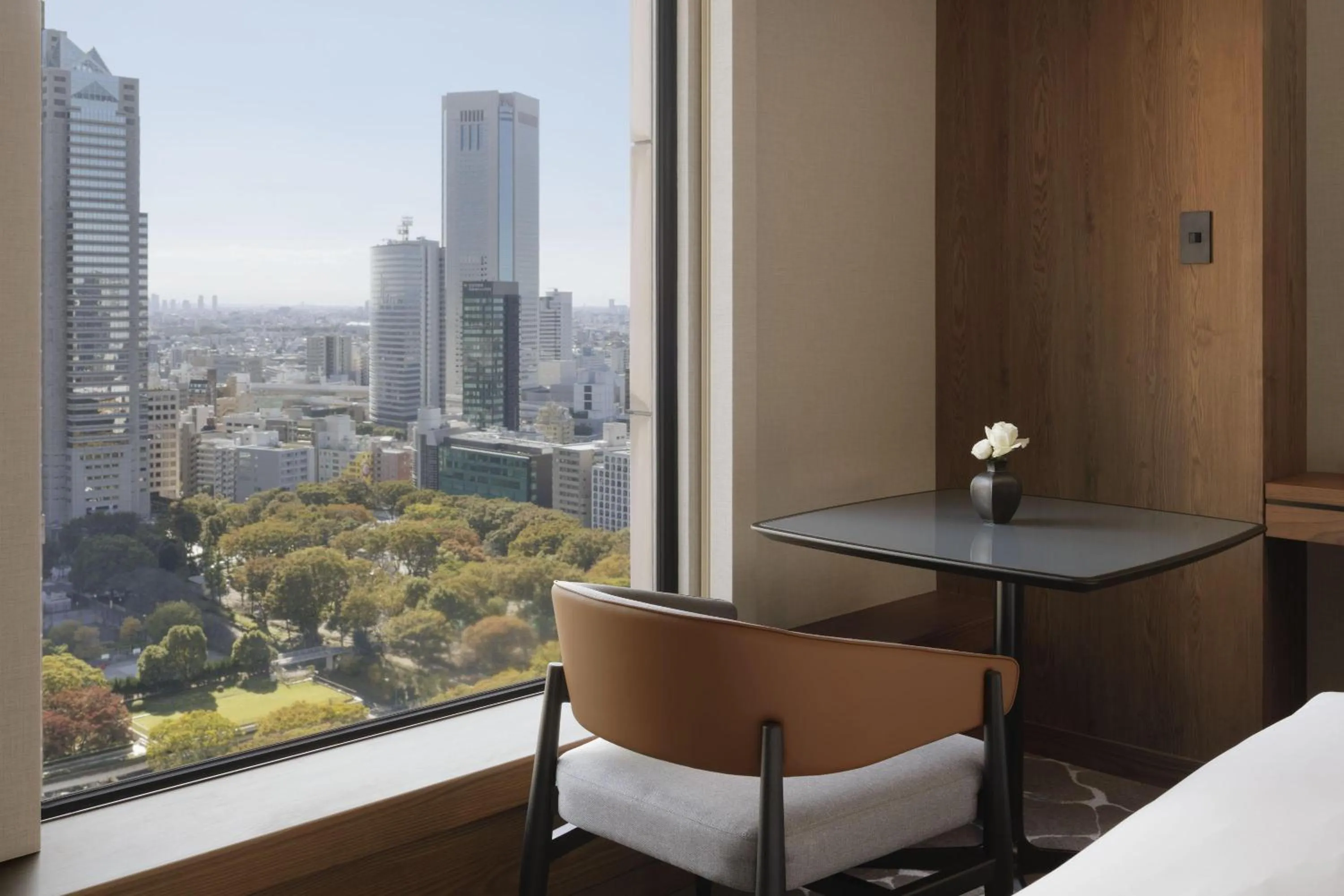 View (from property/room) in Hyatt Regency Tokyo