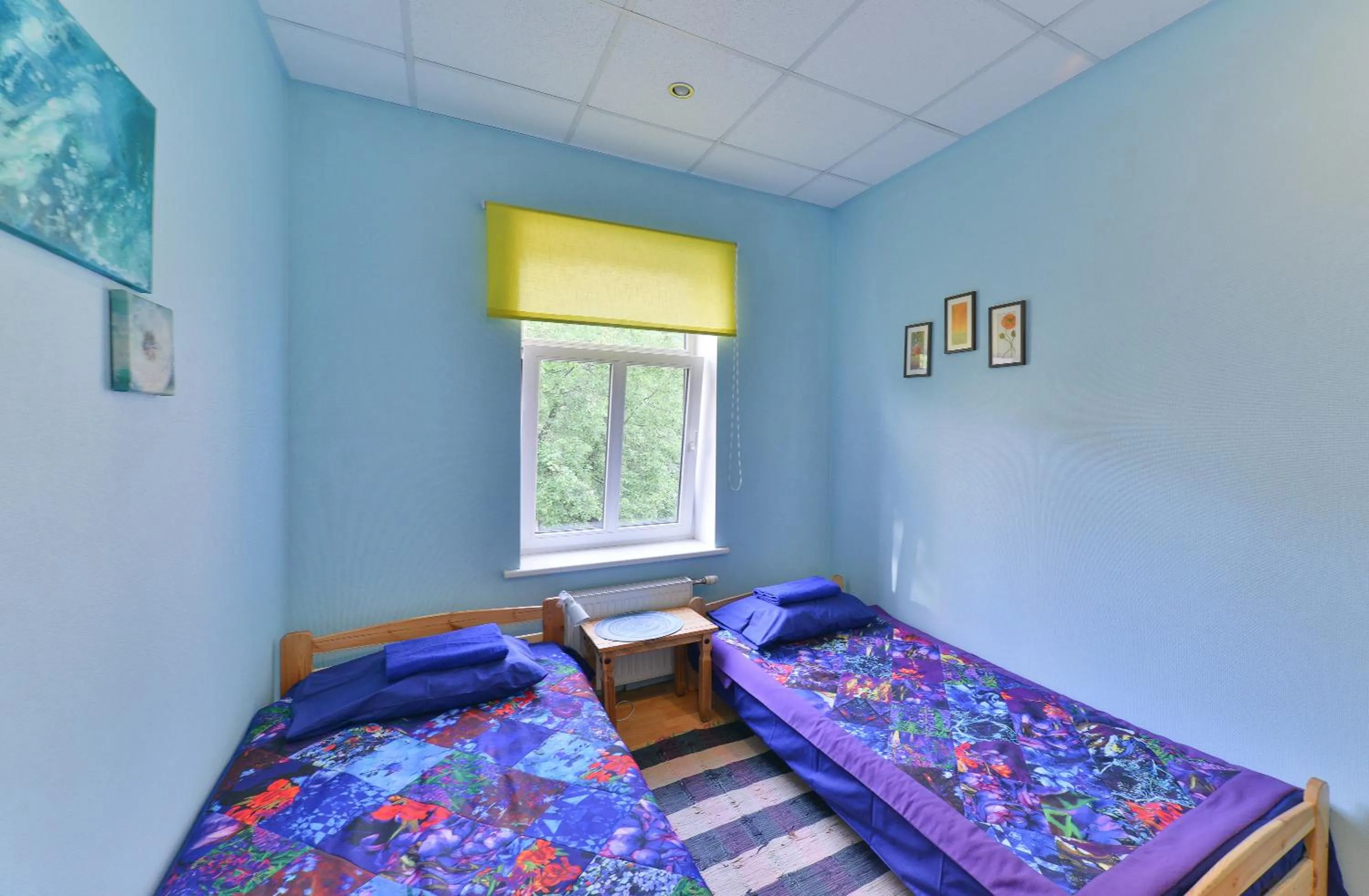 Photo of the whole room, Bed in Central Hostel