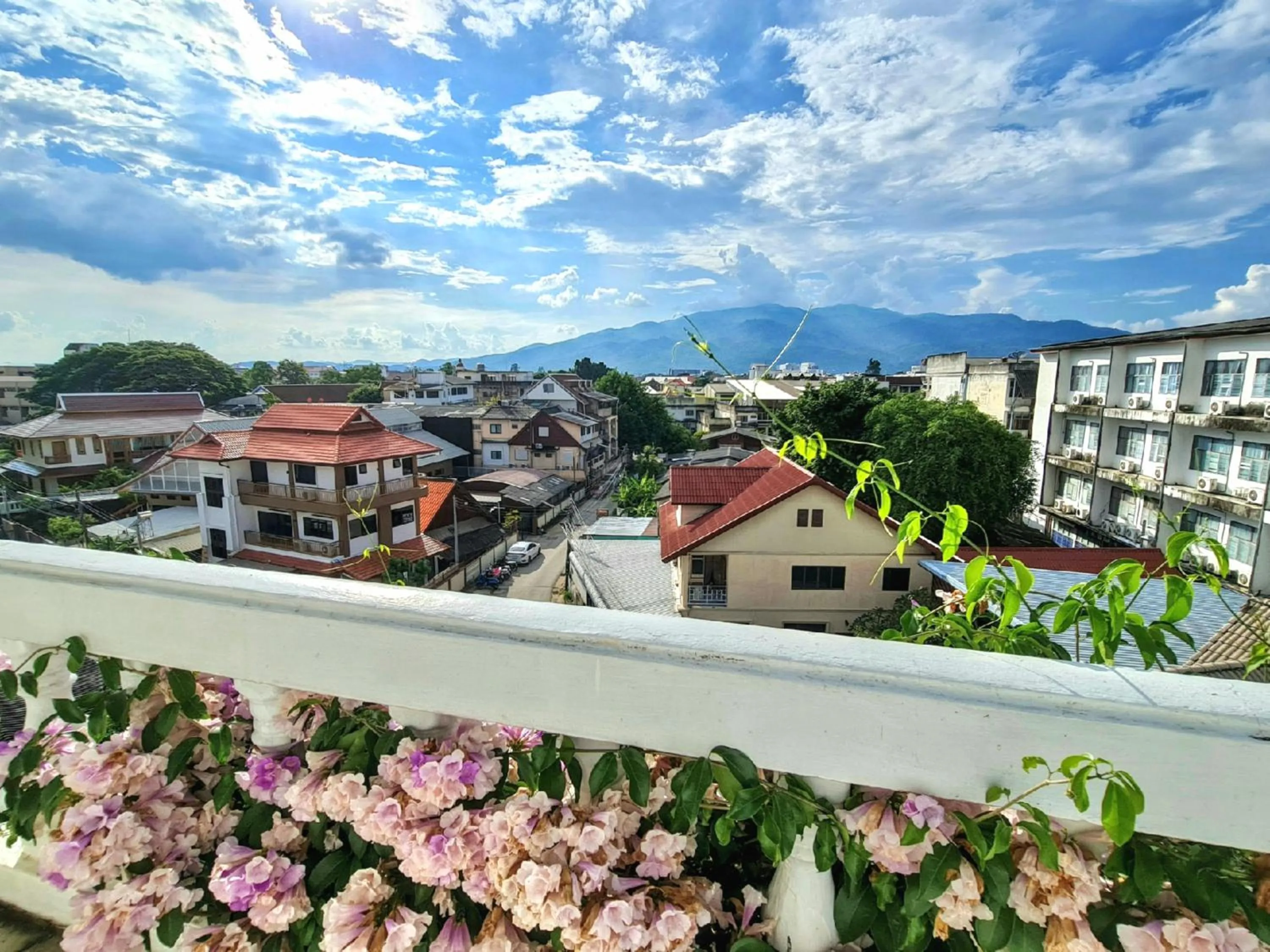 Mountain view in Bed and Terrace Guesthouse Chiang Mai