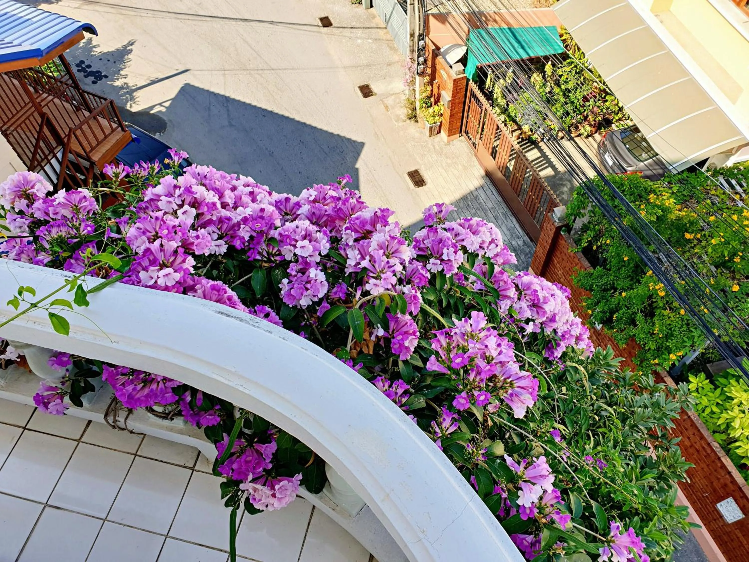View (from property/room) in Bed and Terrace Guesthouse Chiang Mai