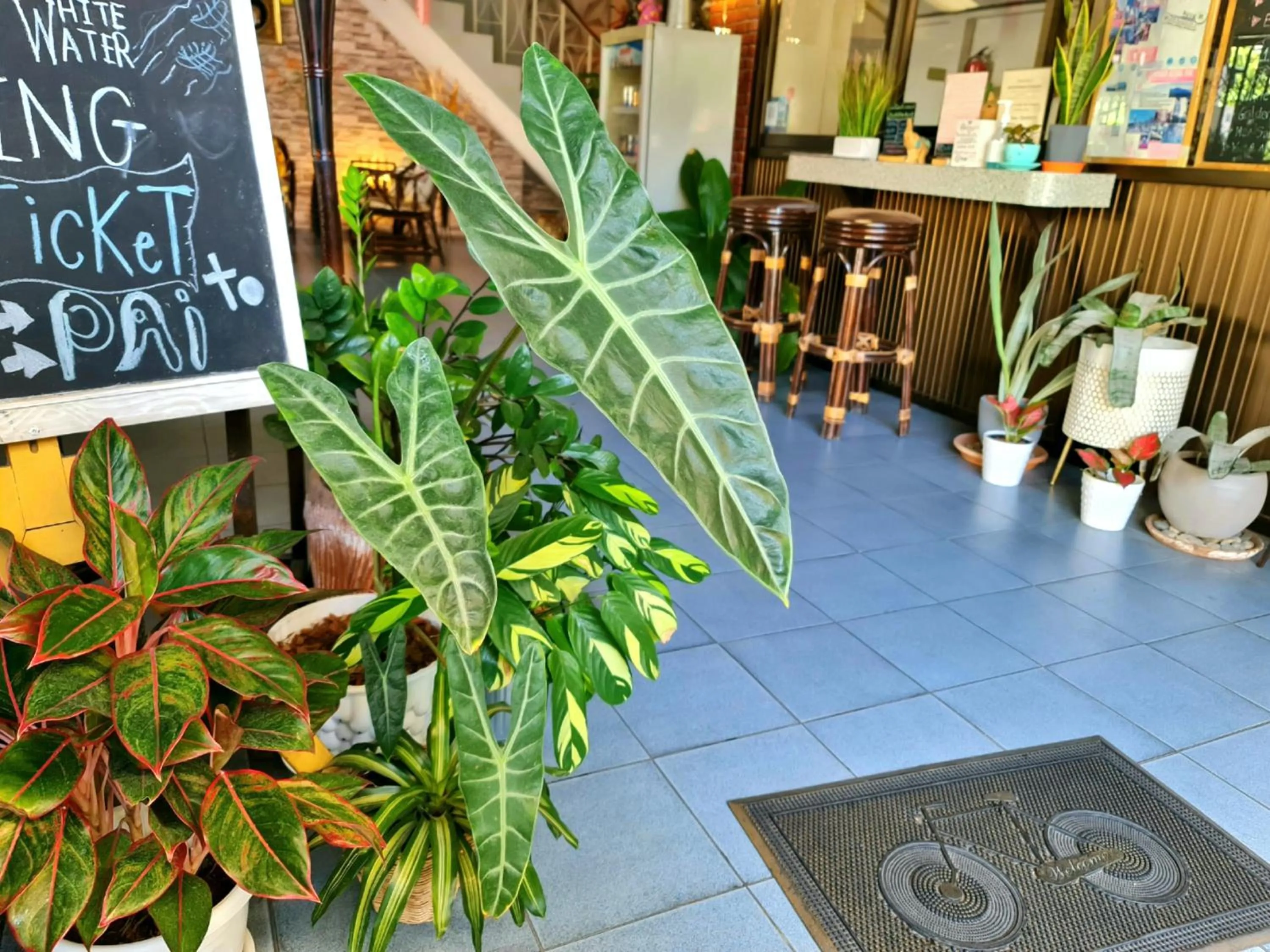 Facade/entrance in Bed and Terrace Guesthouse Chiang Mai