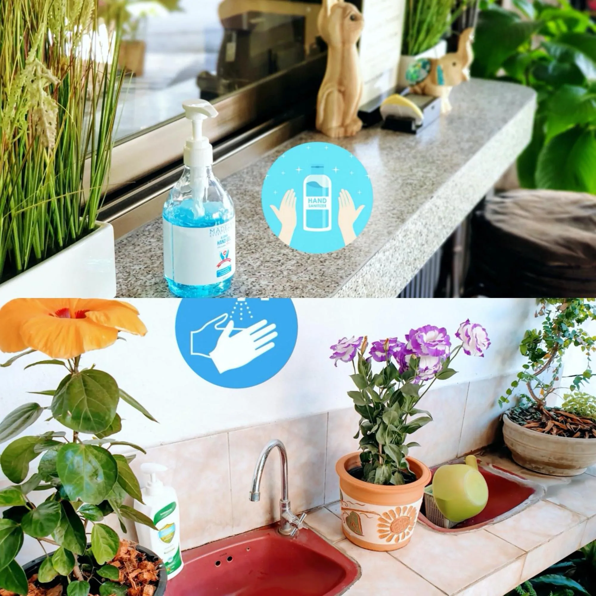 Area and facilities in Bed and Terrace Guesthouse Chiang Mai