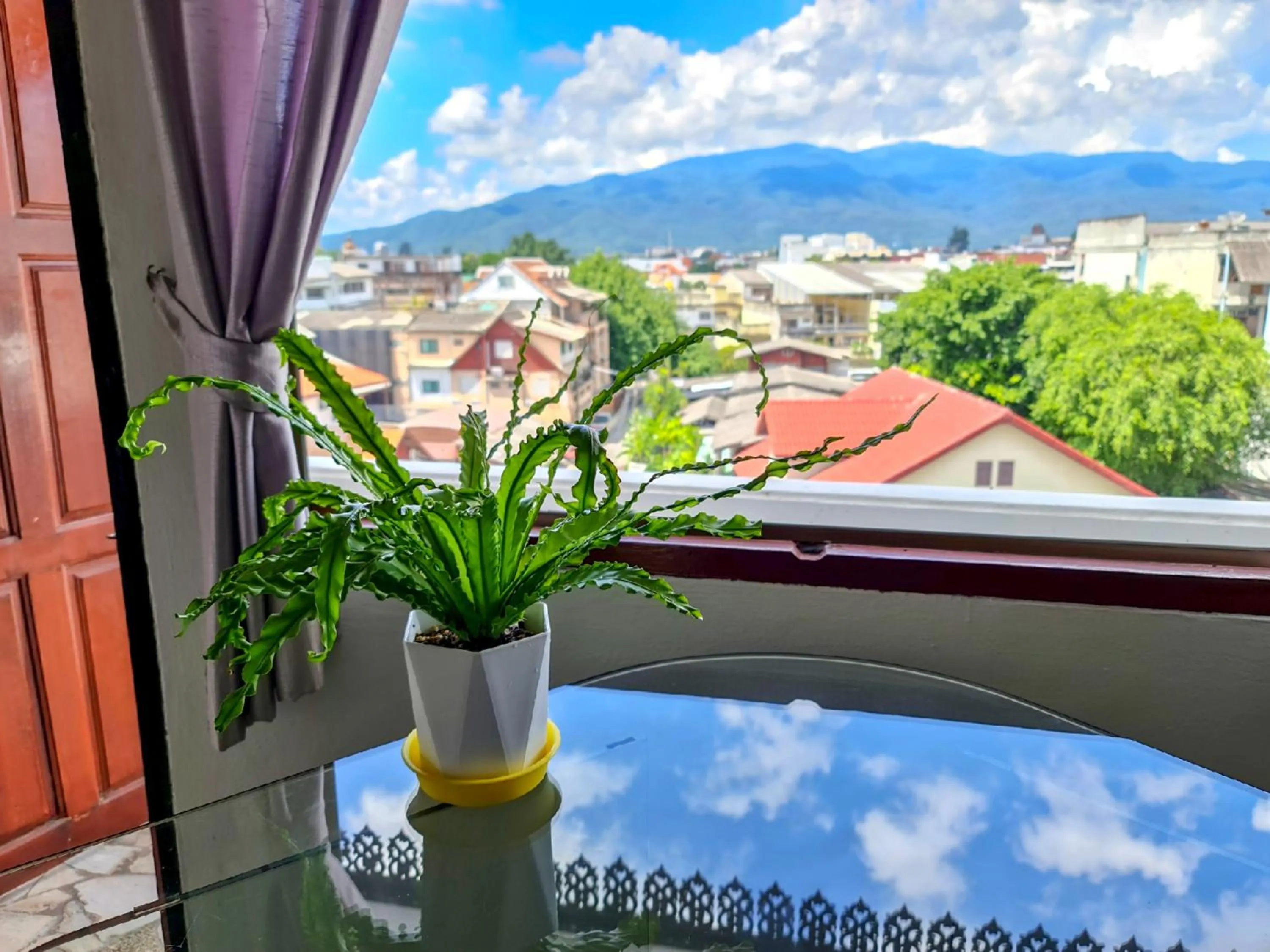 Natural landscape in Bed and Terrace Guesthouse Chiang Mai