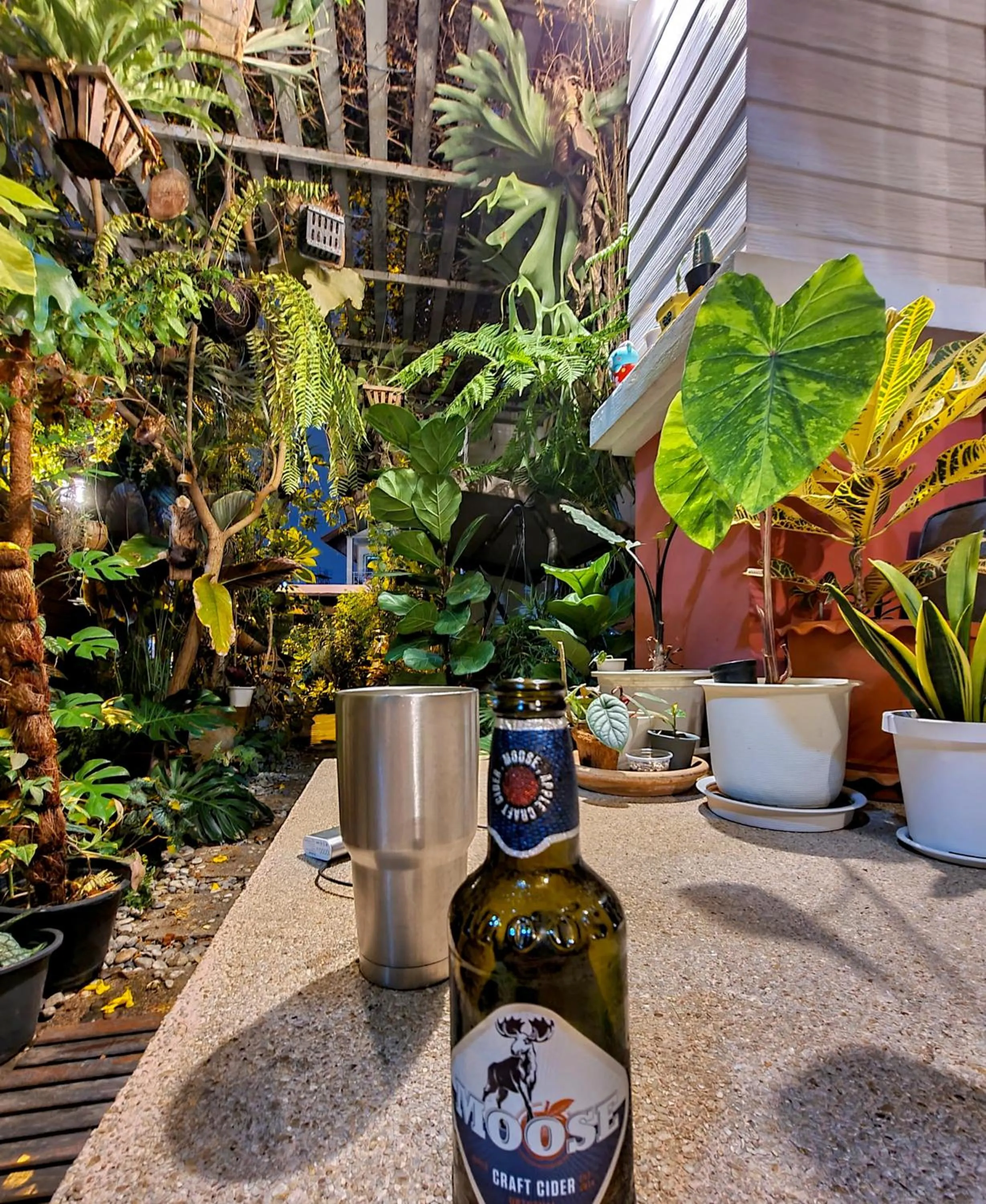 Garden in Bed and Terrace Guesthouse Chiang Mai