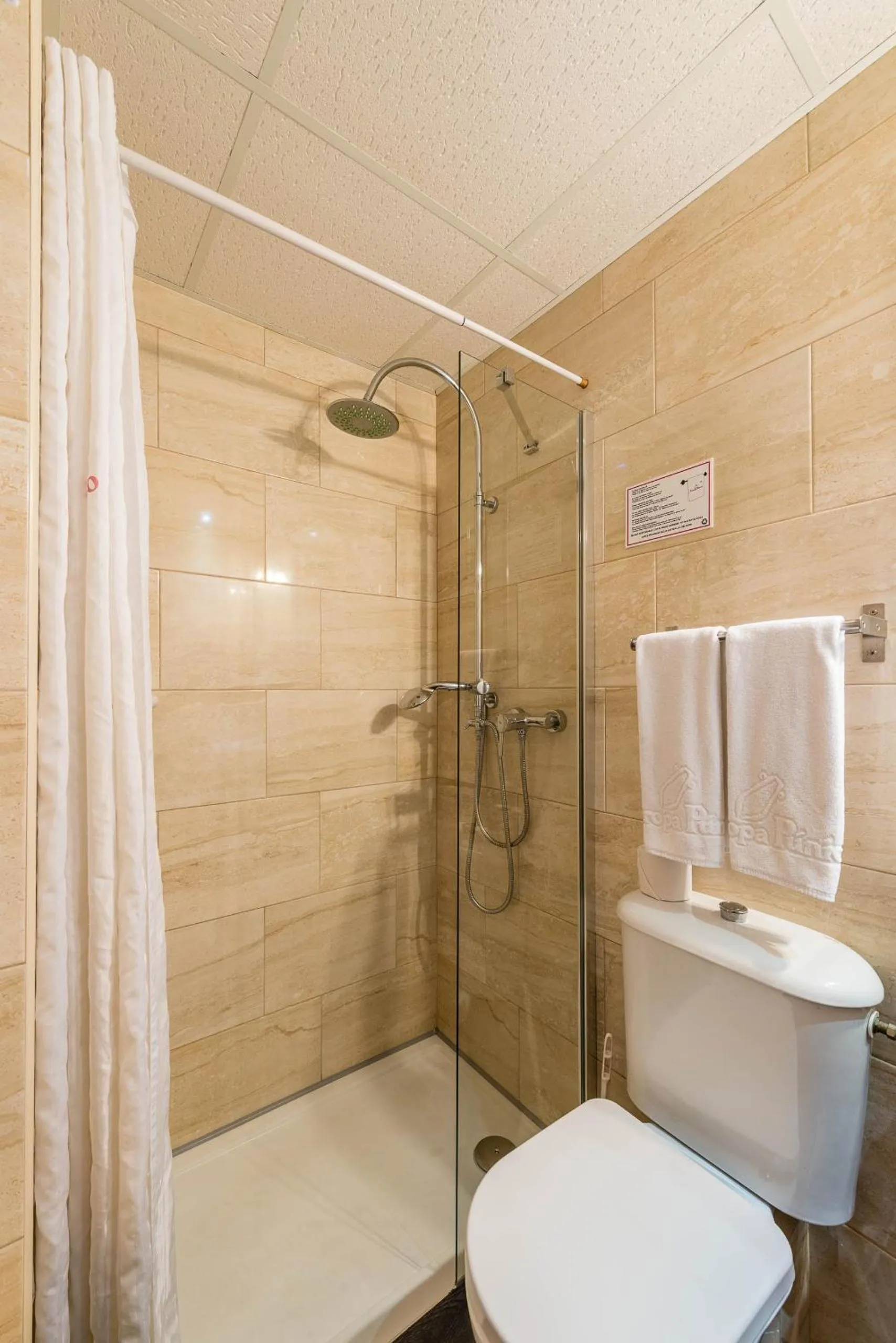 Toilet in Hostal Residencia Europa Punico