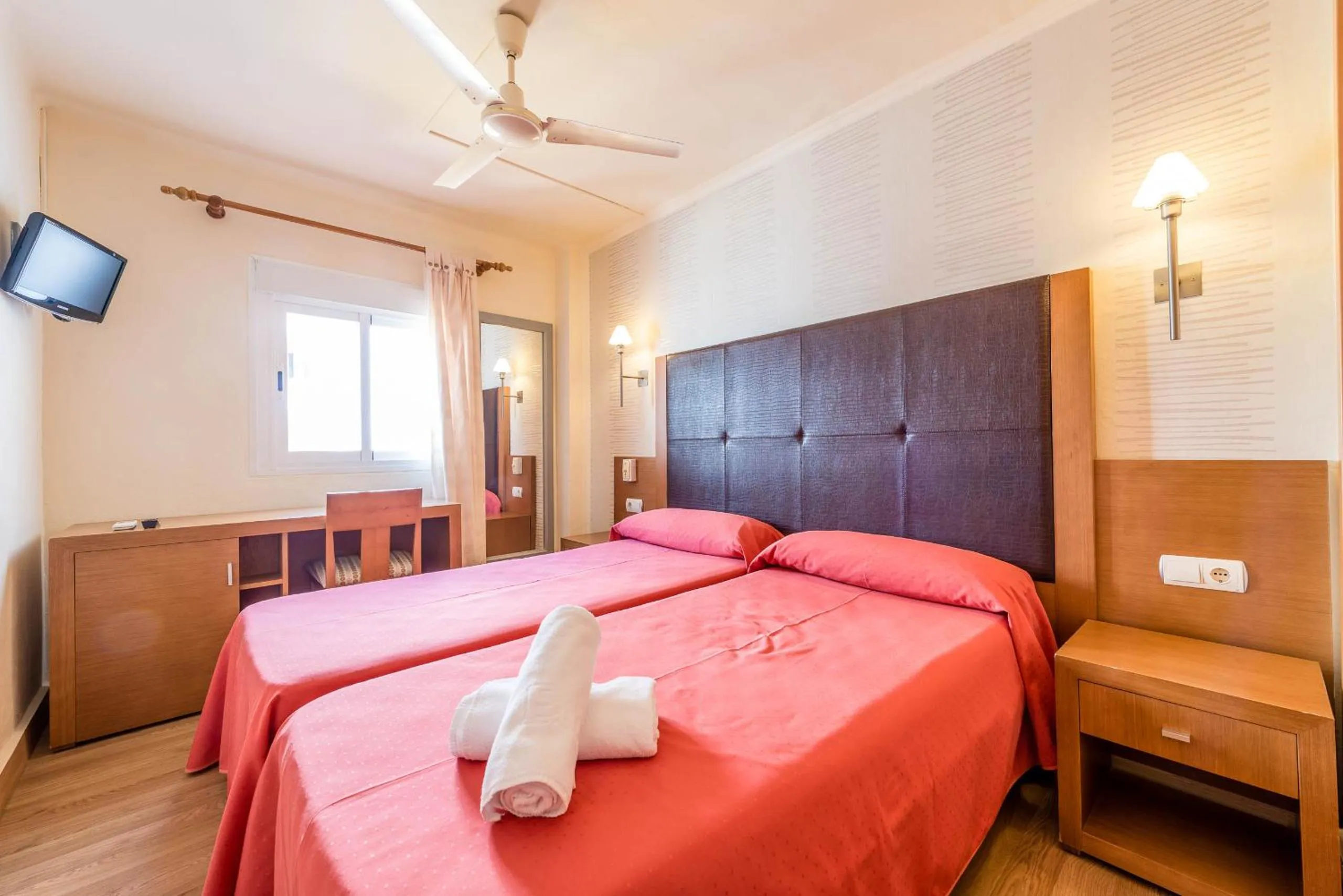 Day in Hostal Residencia Europa Punico