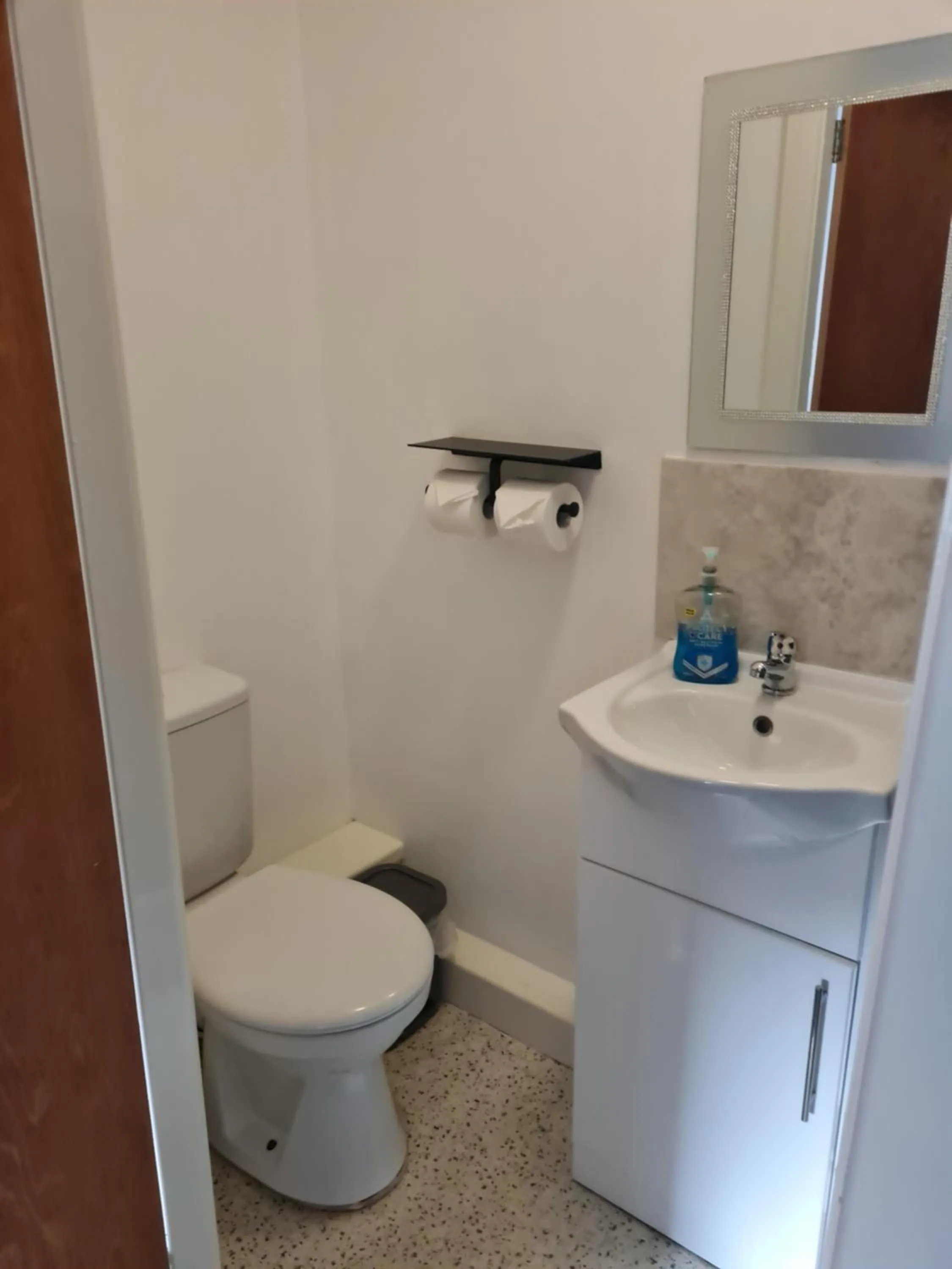 Toilet in The Last Post