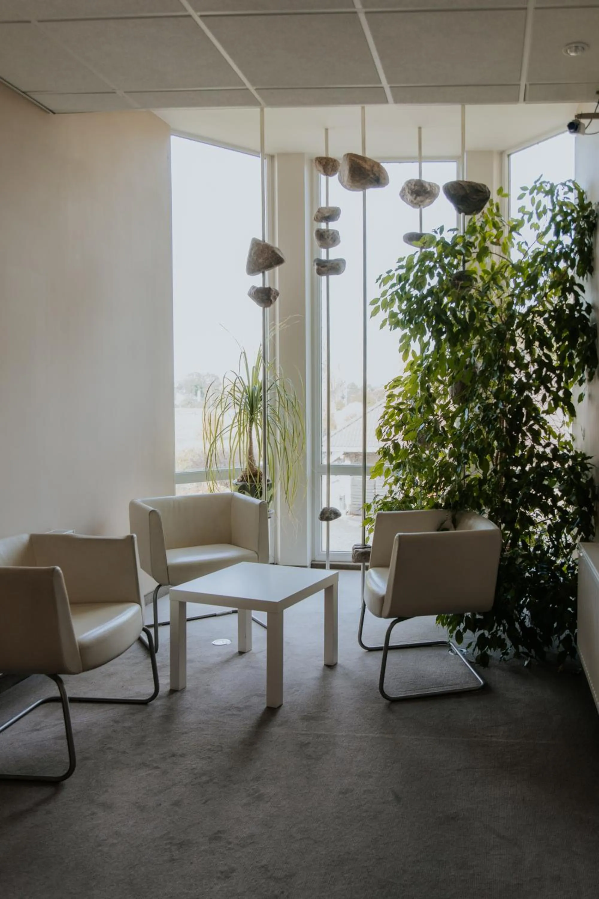 Property building in Spadrops