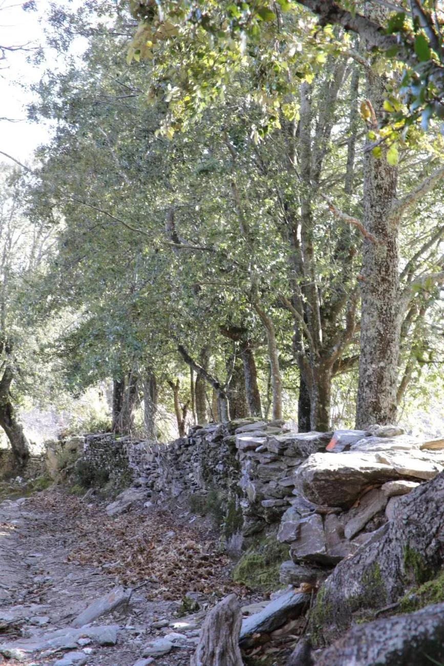 Natural landscape in Casa Di Lucia Mi-Hotel
