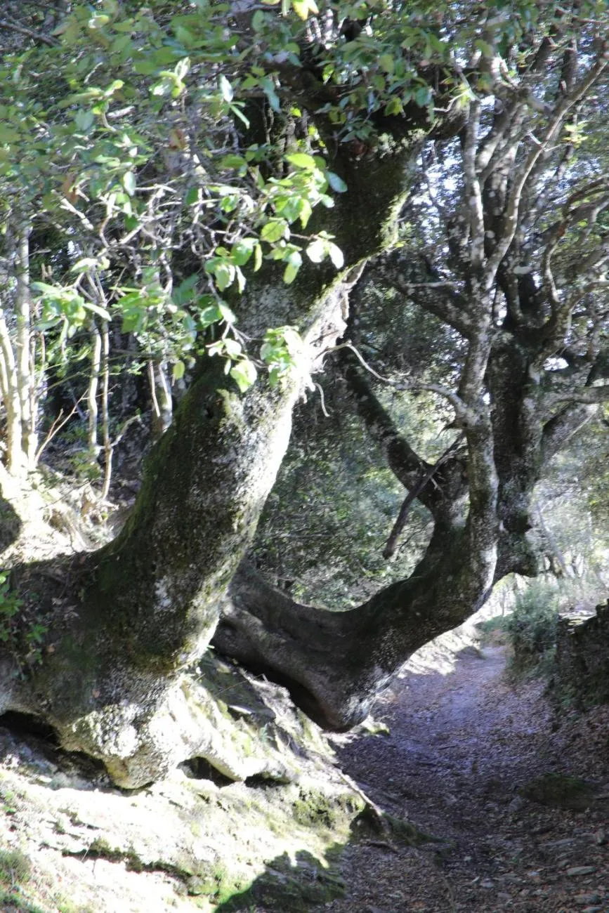 Natural landscape in Casa Di Lucia Mi-Hotel
