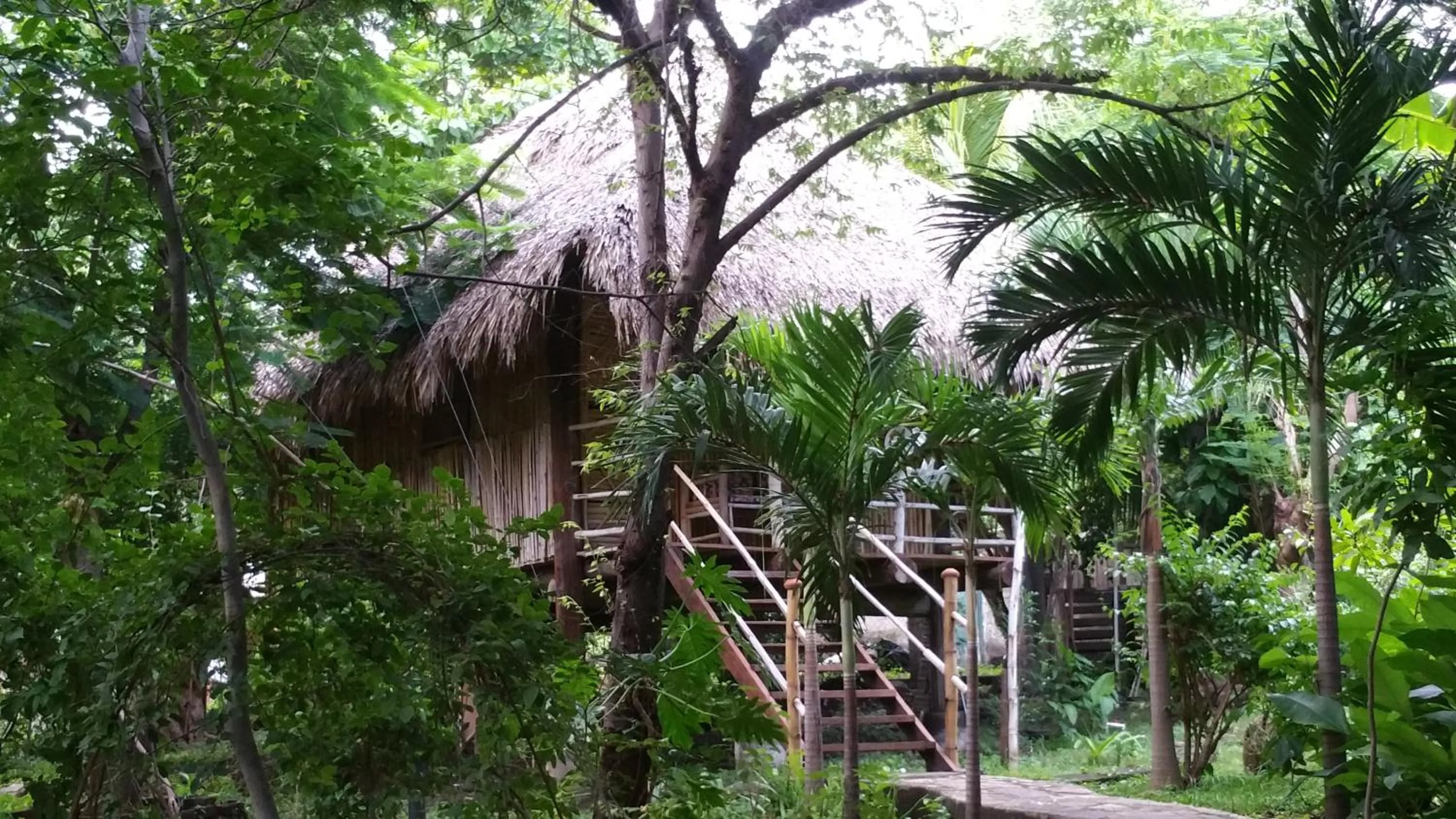 Day in Hotel Restaurante Spa La Barca de Oro